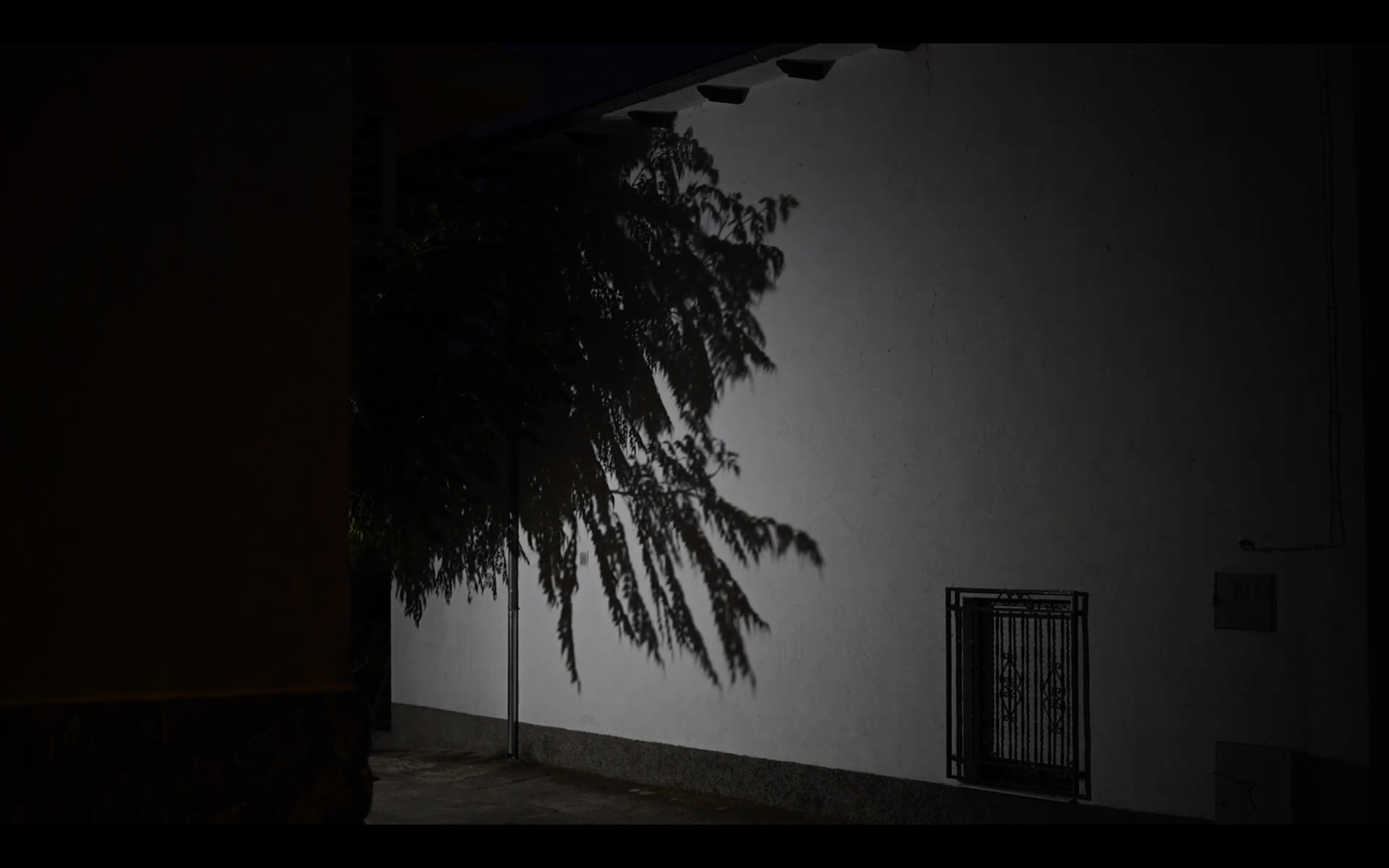 Tanaquil Dirand, Capture d'écran Le regard d’eau, 2020, projection vidéo et sonore, 2min50.