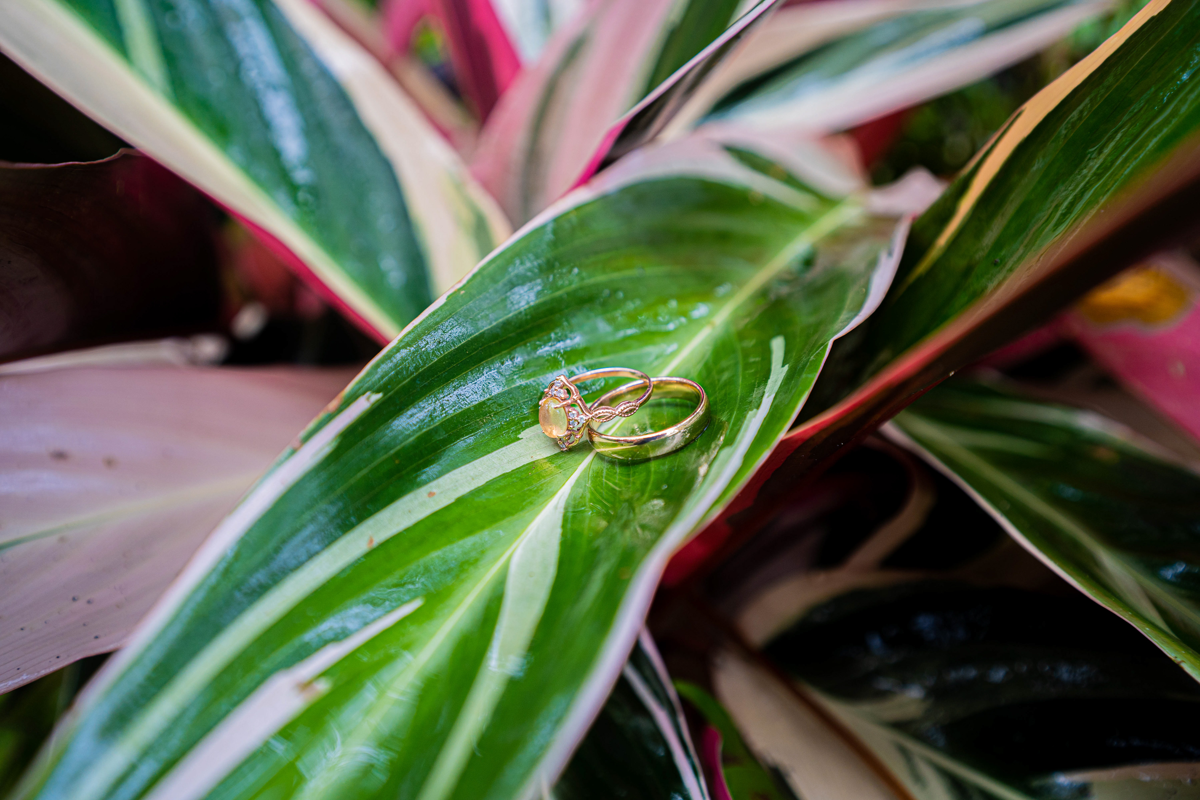 Due to rain, couple was forced from venue to a backyard wedding.
