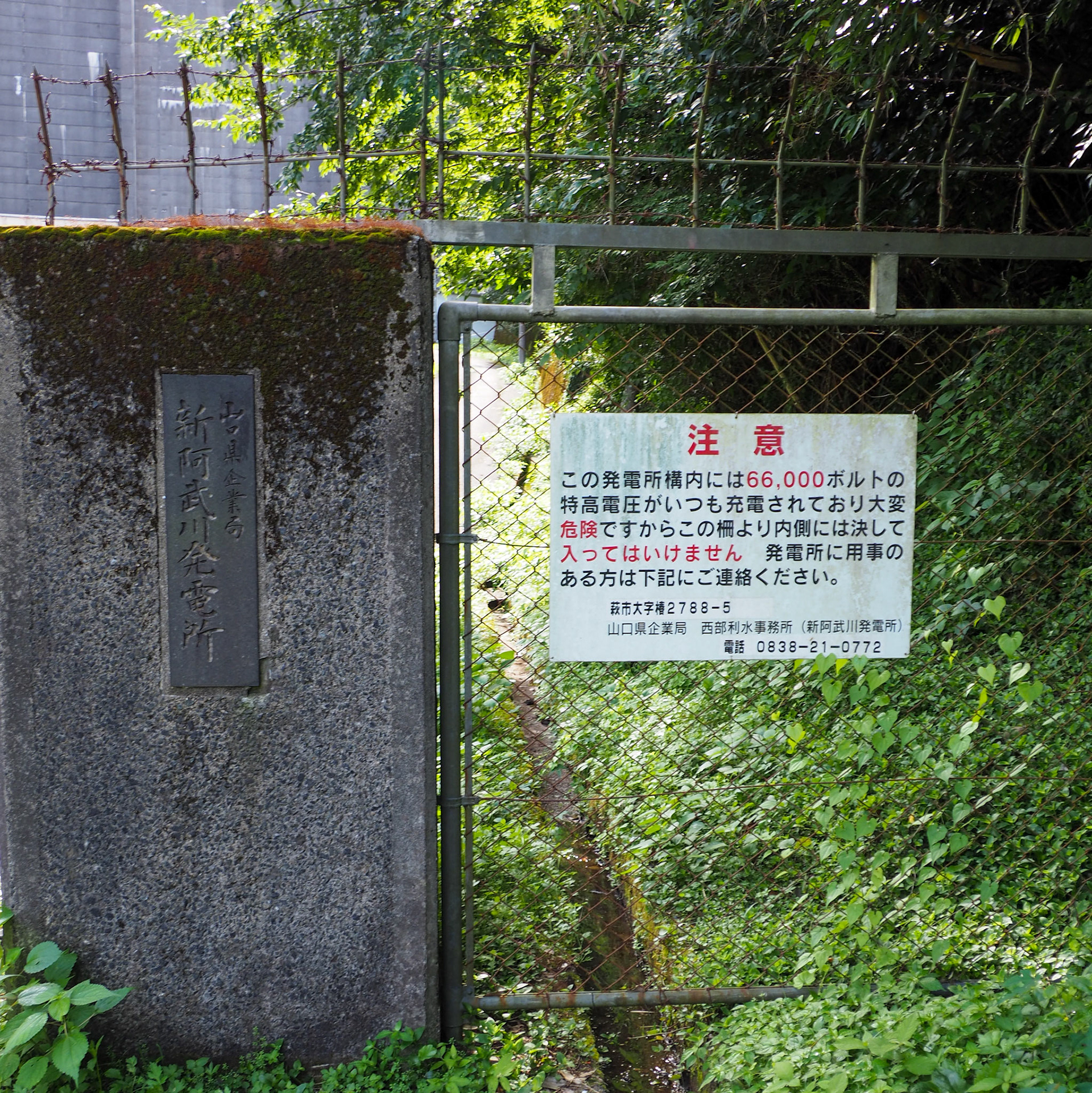 阿武川ダム
