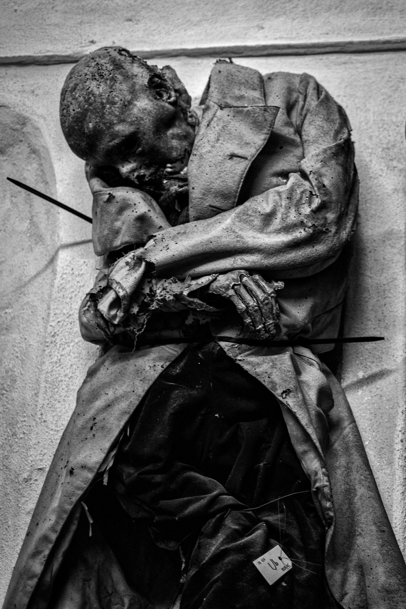 Even death is not to be feared by one who has lived wisely. Buddha.