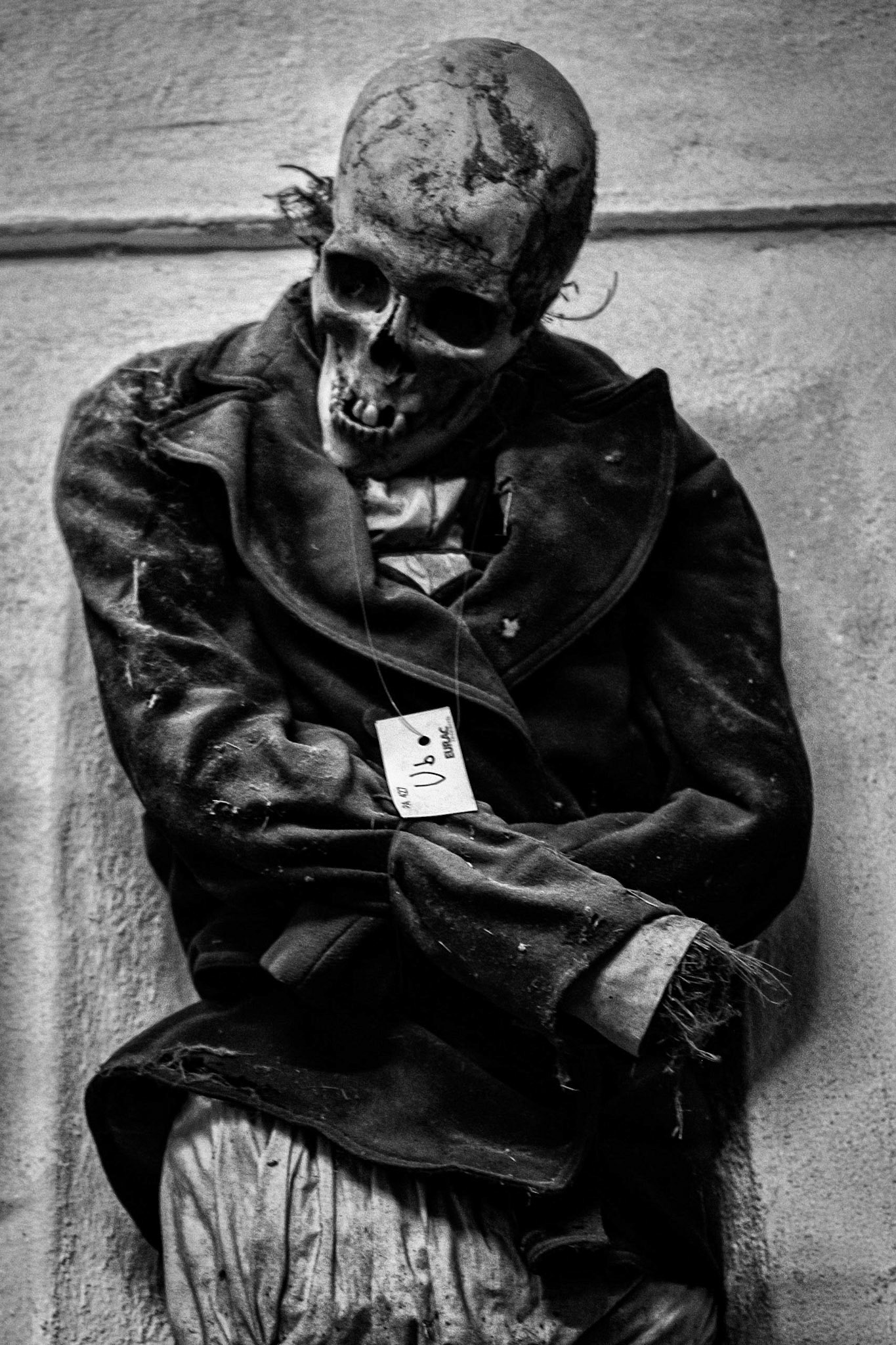 Dying is a wild night and a new road. Emily Dickinson.