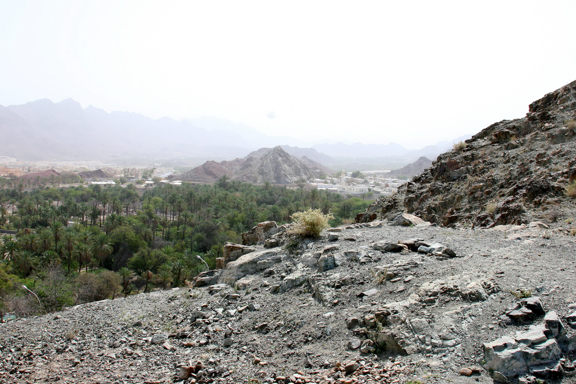 Hatta