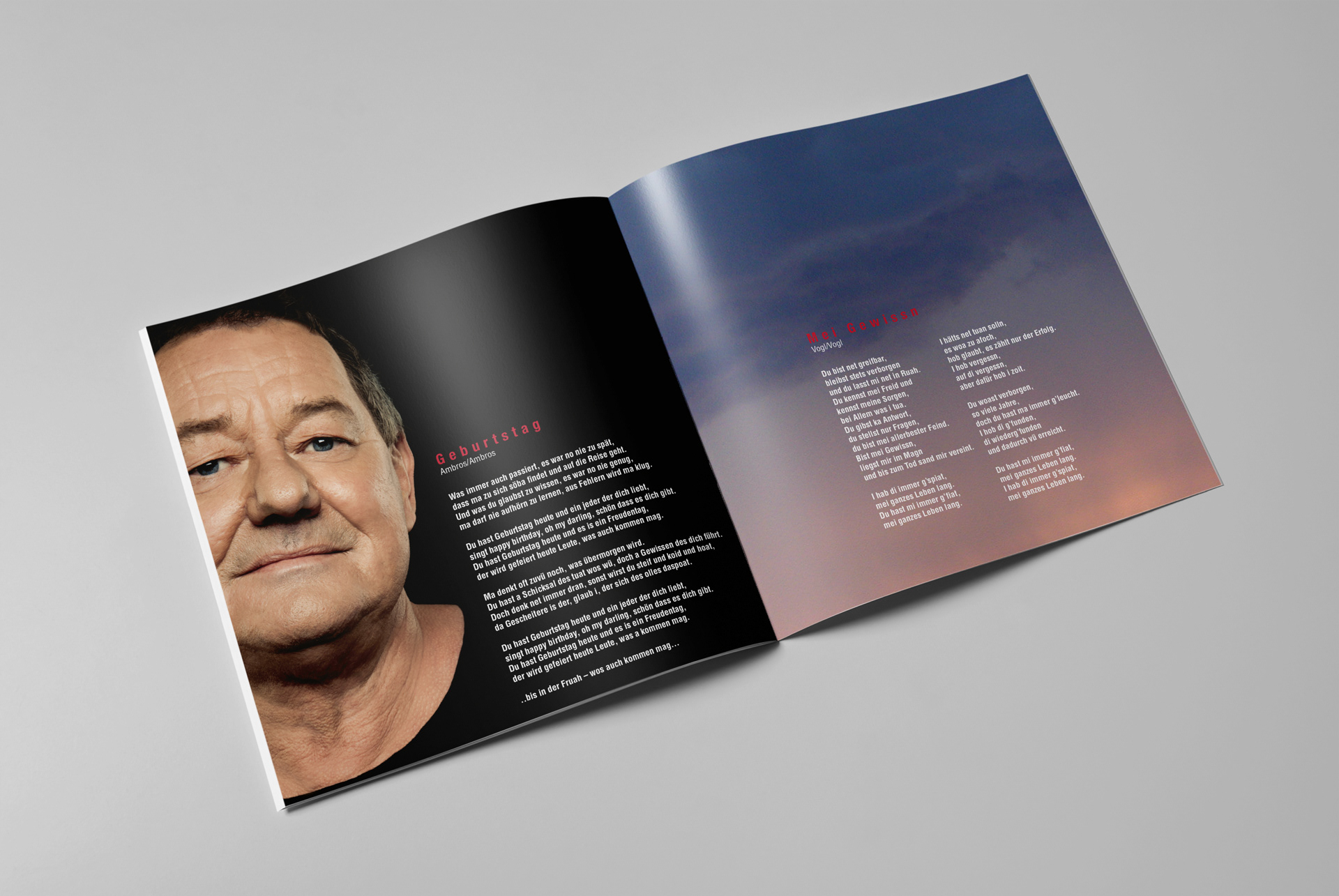 16-seitiges Booklet (Beispielseiten)