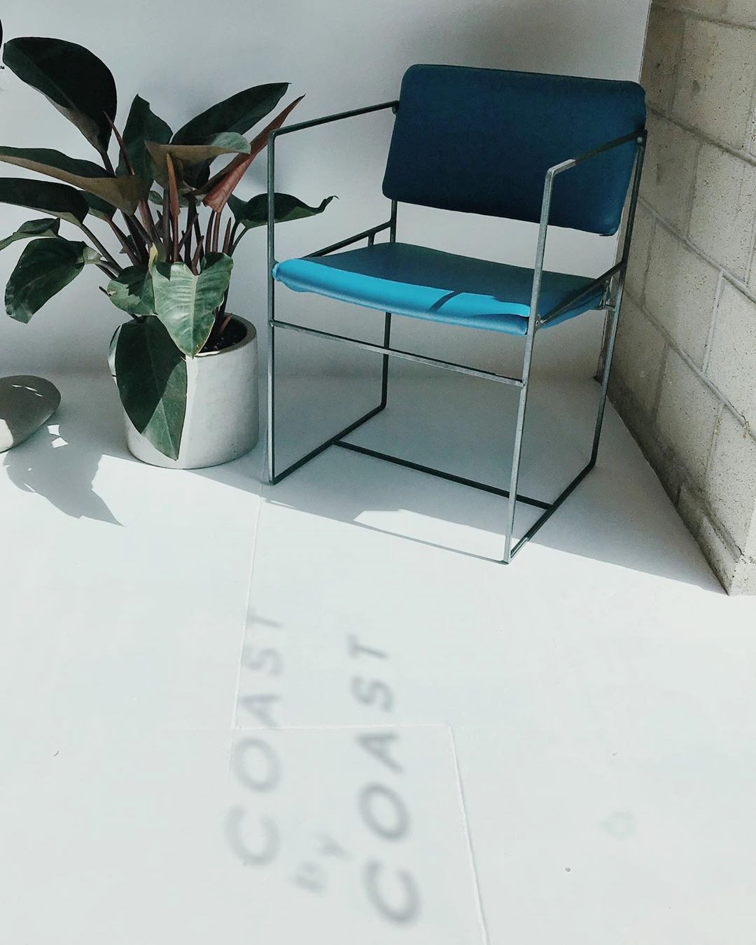 Window vinyl design