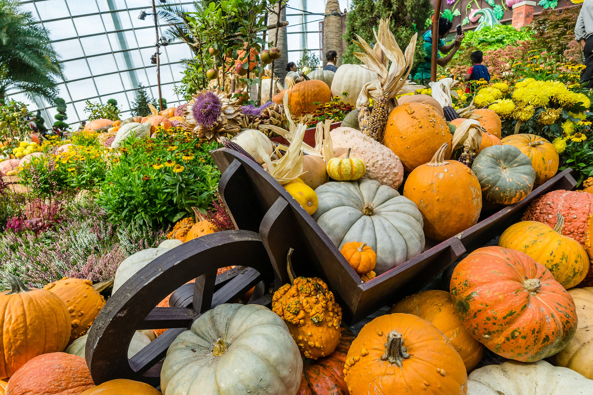 Autumn Harvest 2017