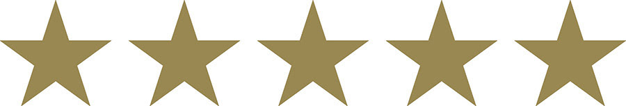 5 gold star review kind words icon on wedding portrait and product photographer david lefebvre website section customer reviews