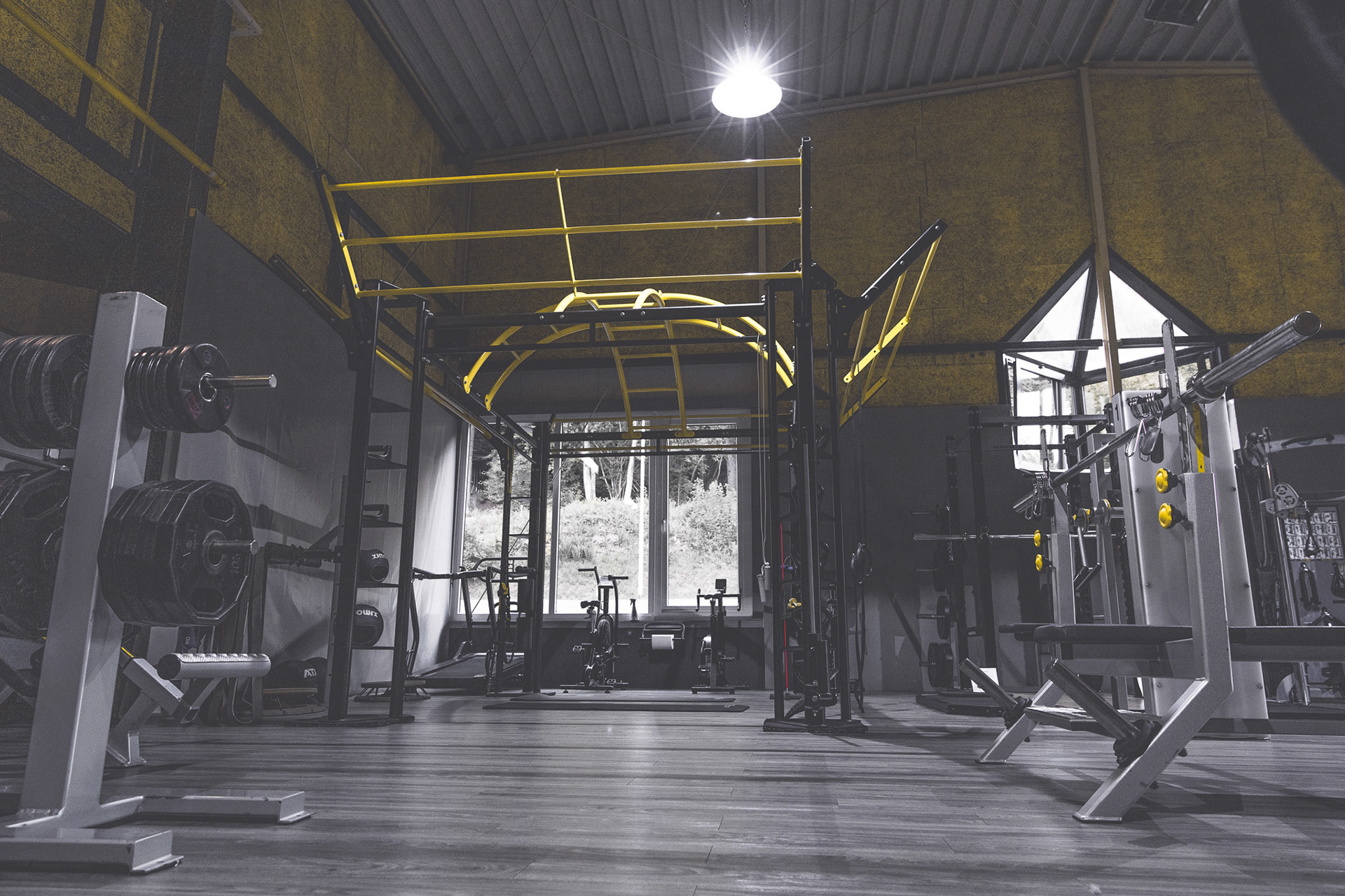 Black & Yellow Fitness • Bad Soden • Innenaufnahme