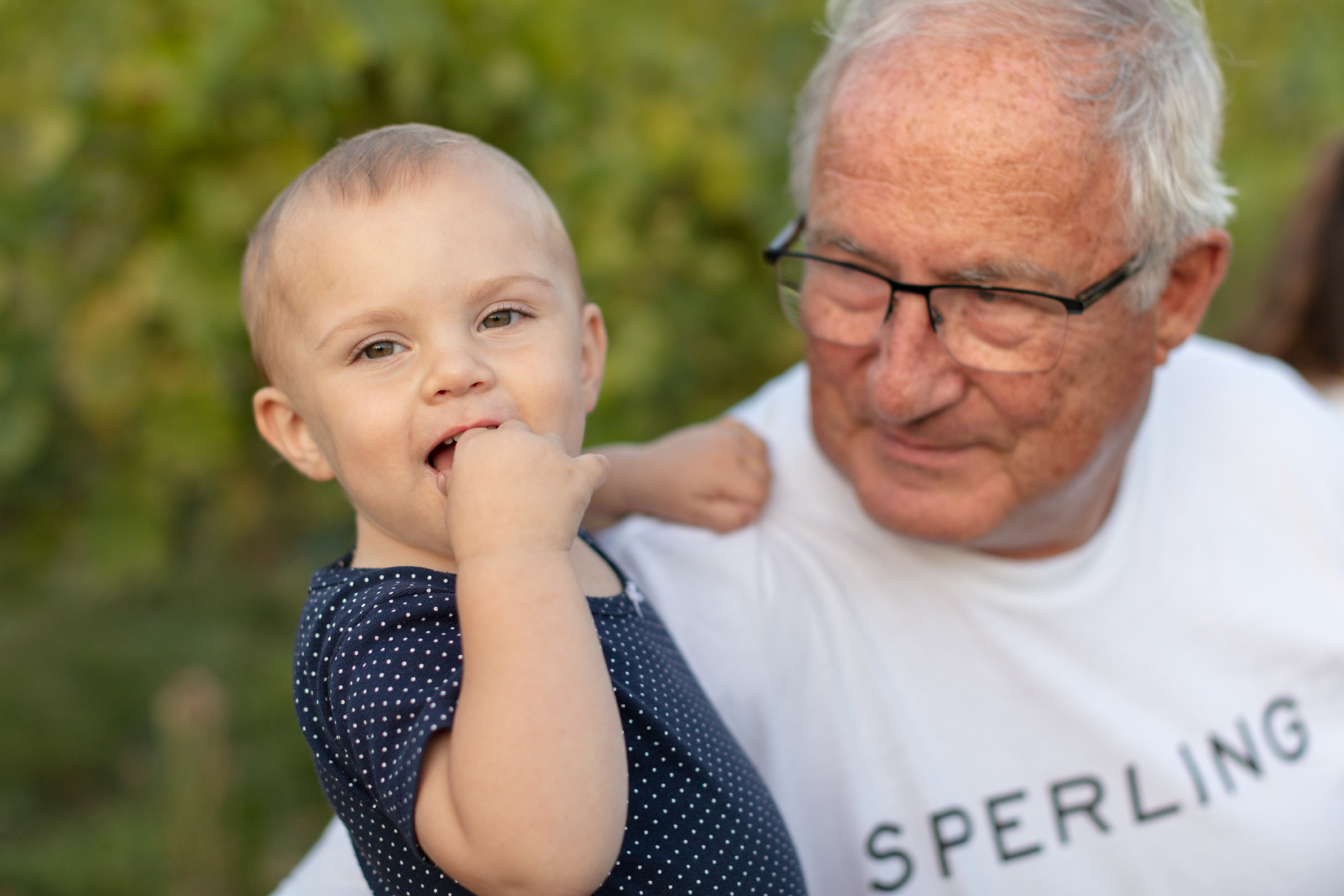 sperling, family, wines