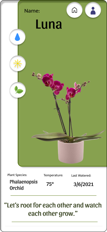 Interface for PlantDaily, an app that facilitates plant care.