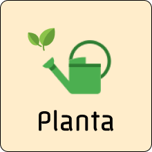App Icon.