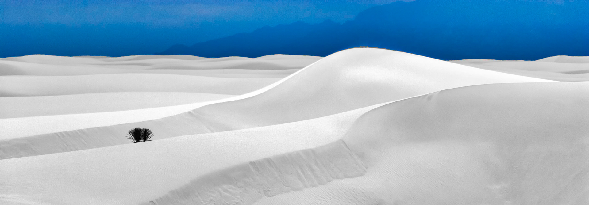 White Sands National Monument, New Mexico. Rising from the heart of the Tularosa Basin is one of the world's great natural wonders - the glistening white sands of New Mexico. Great wave-like dunes of gypsum sand have engulfed 275 square miles of desert, creating the world's largest gypsum dunefield. White Sands National Monument preserves a major portion of this unique dunefield, along with the plants and animals that live here.