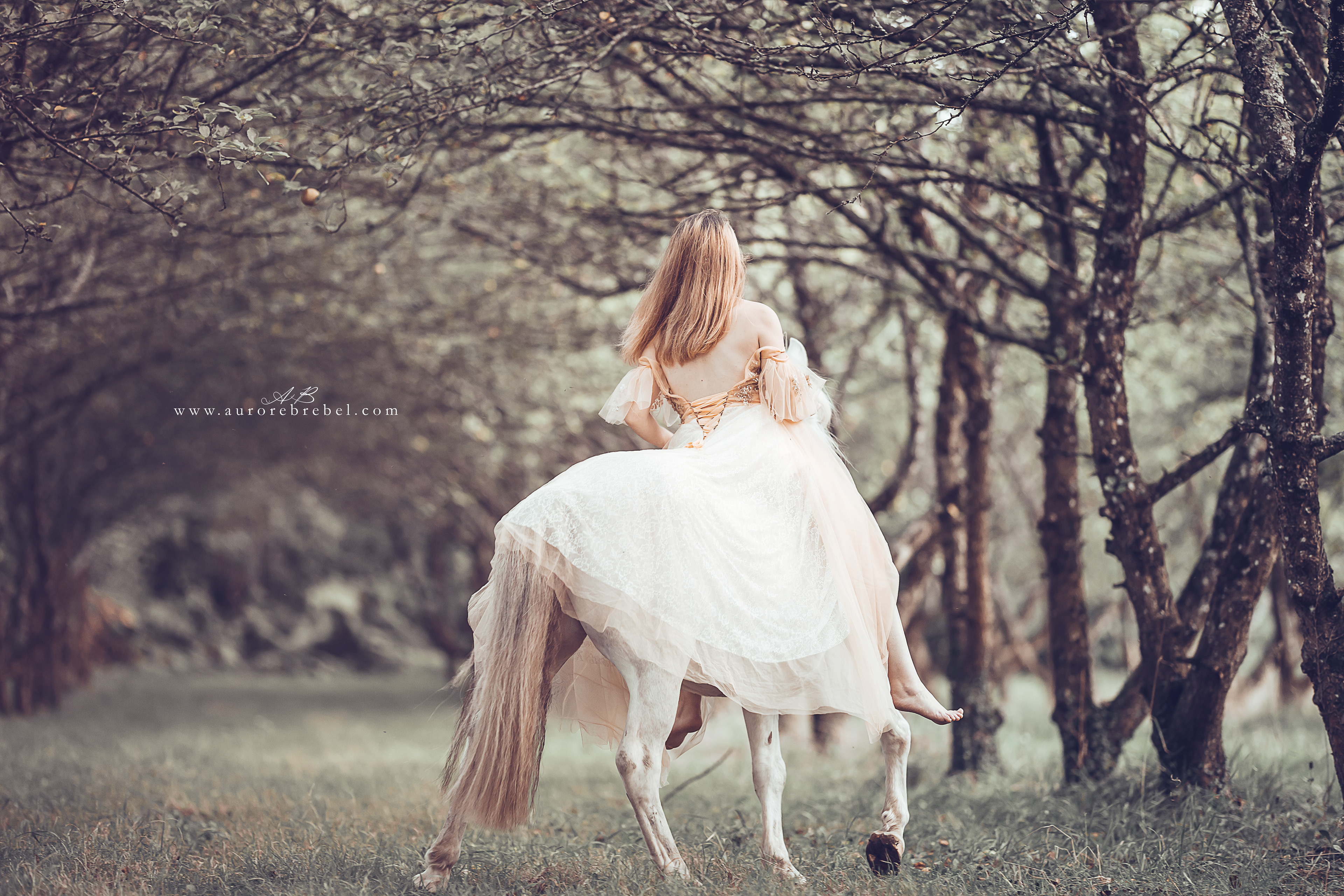 Aurore Brebel Photographe à Brest : Mariages Grossesse Famille Portraits Animaux - Cheval