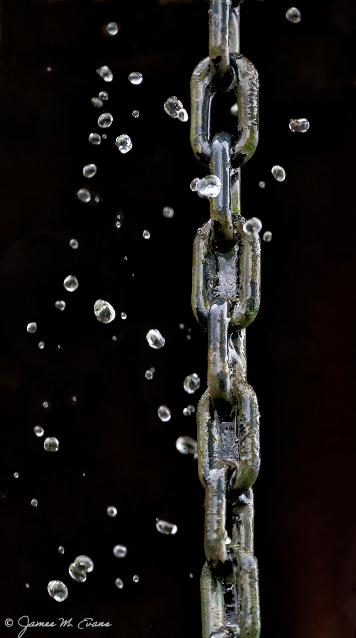Rain Chain - Rain Chain on the Osa Peninsula in Costa Rica during a downpour.