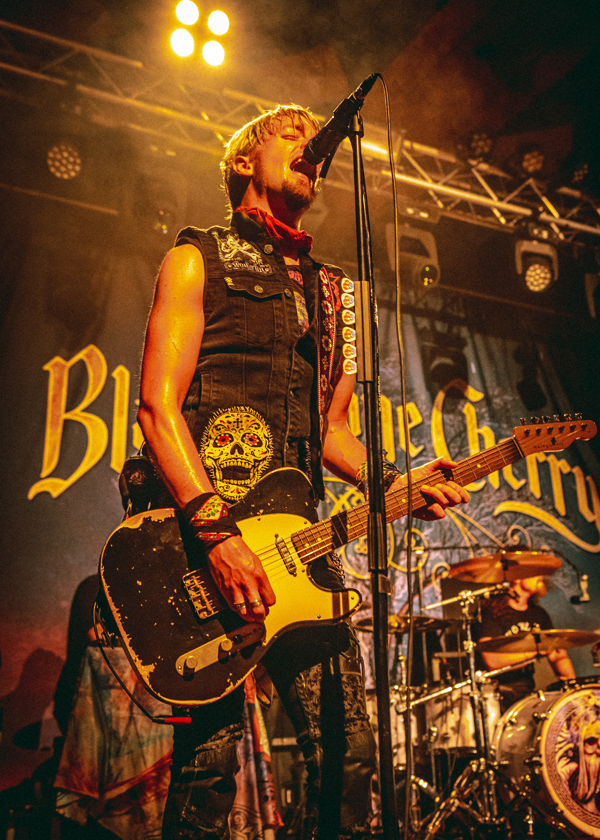 Black Stone Cherry