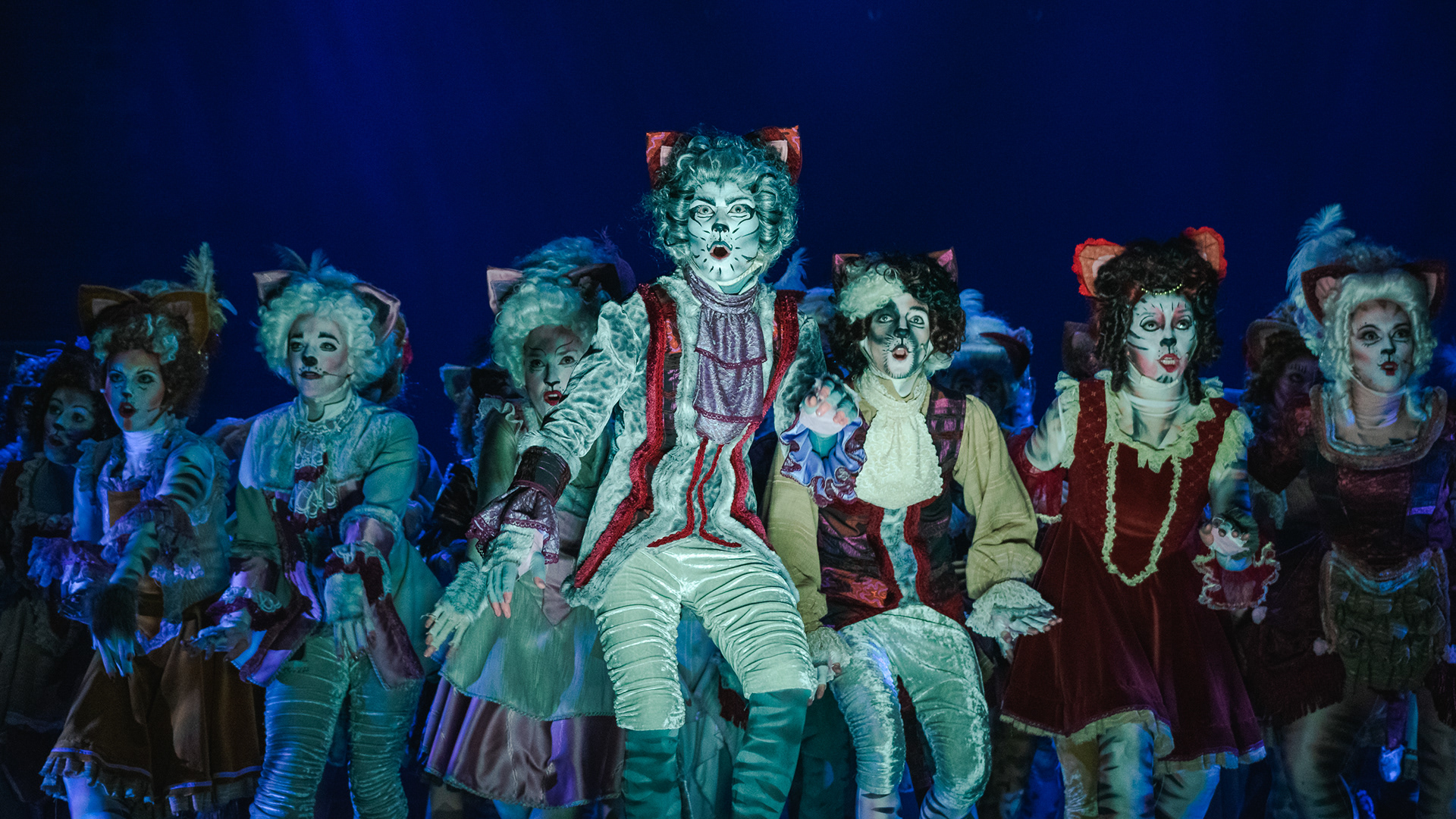 Cats The Musical