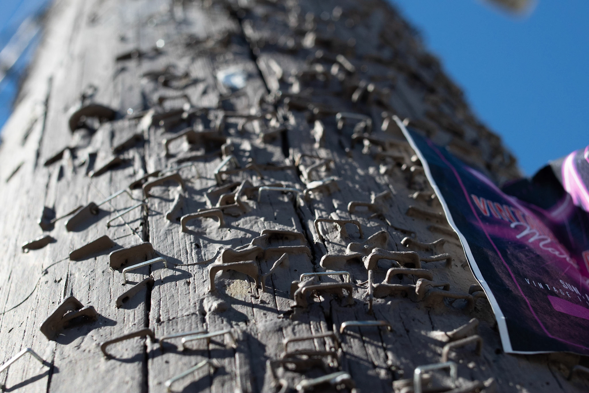 Sights around The Strip, Midtown San Antonio. ©Donna Bachler