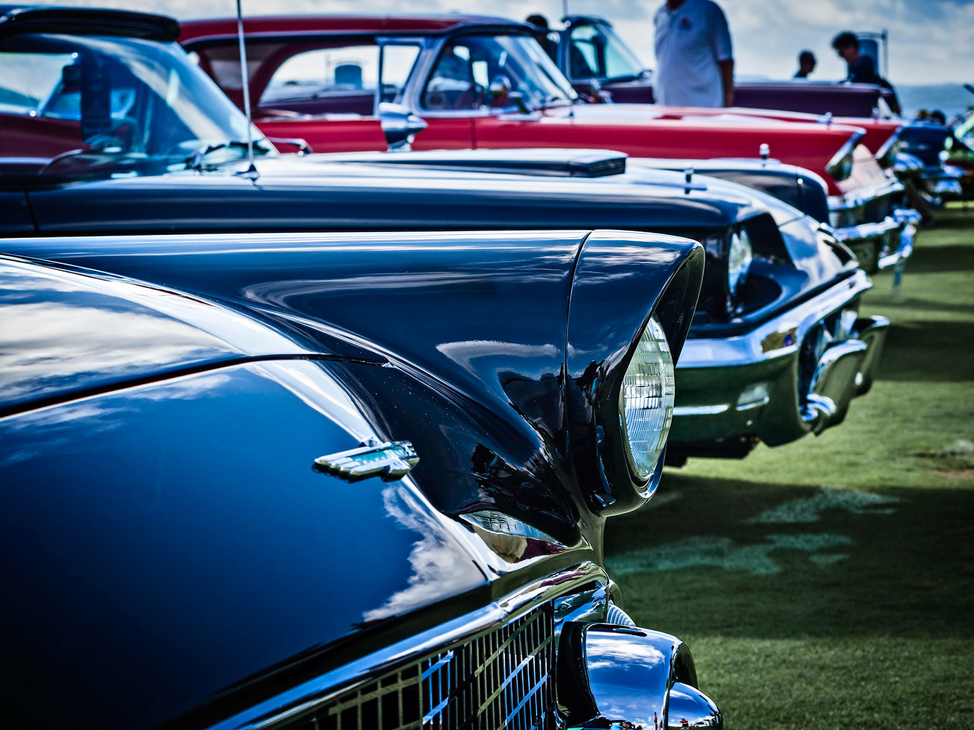 Old Birds