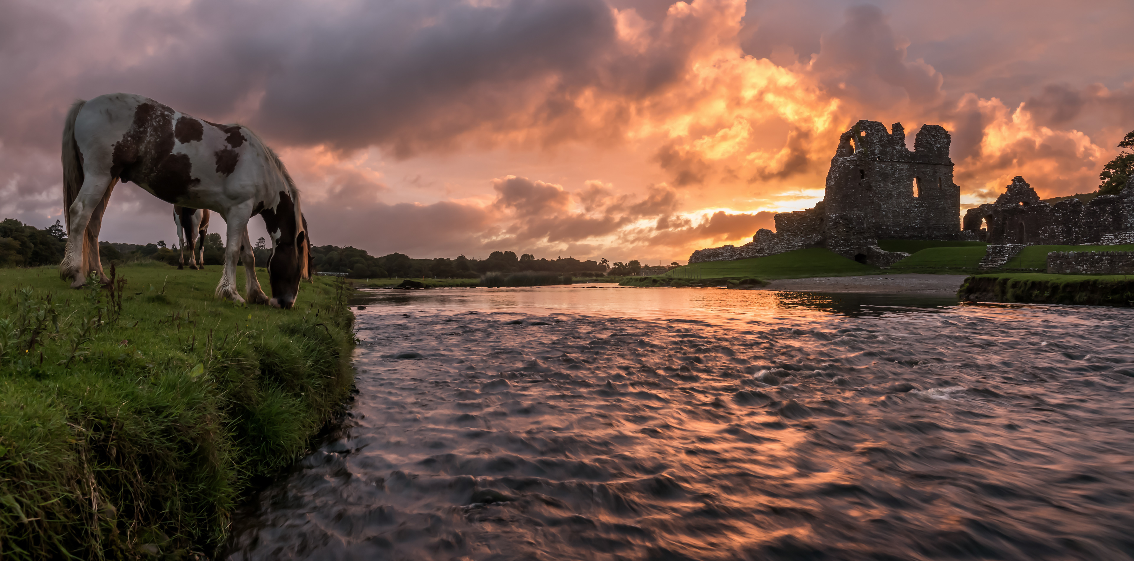 Ogmore Castle and Horse Sunrise