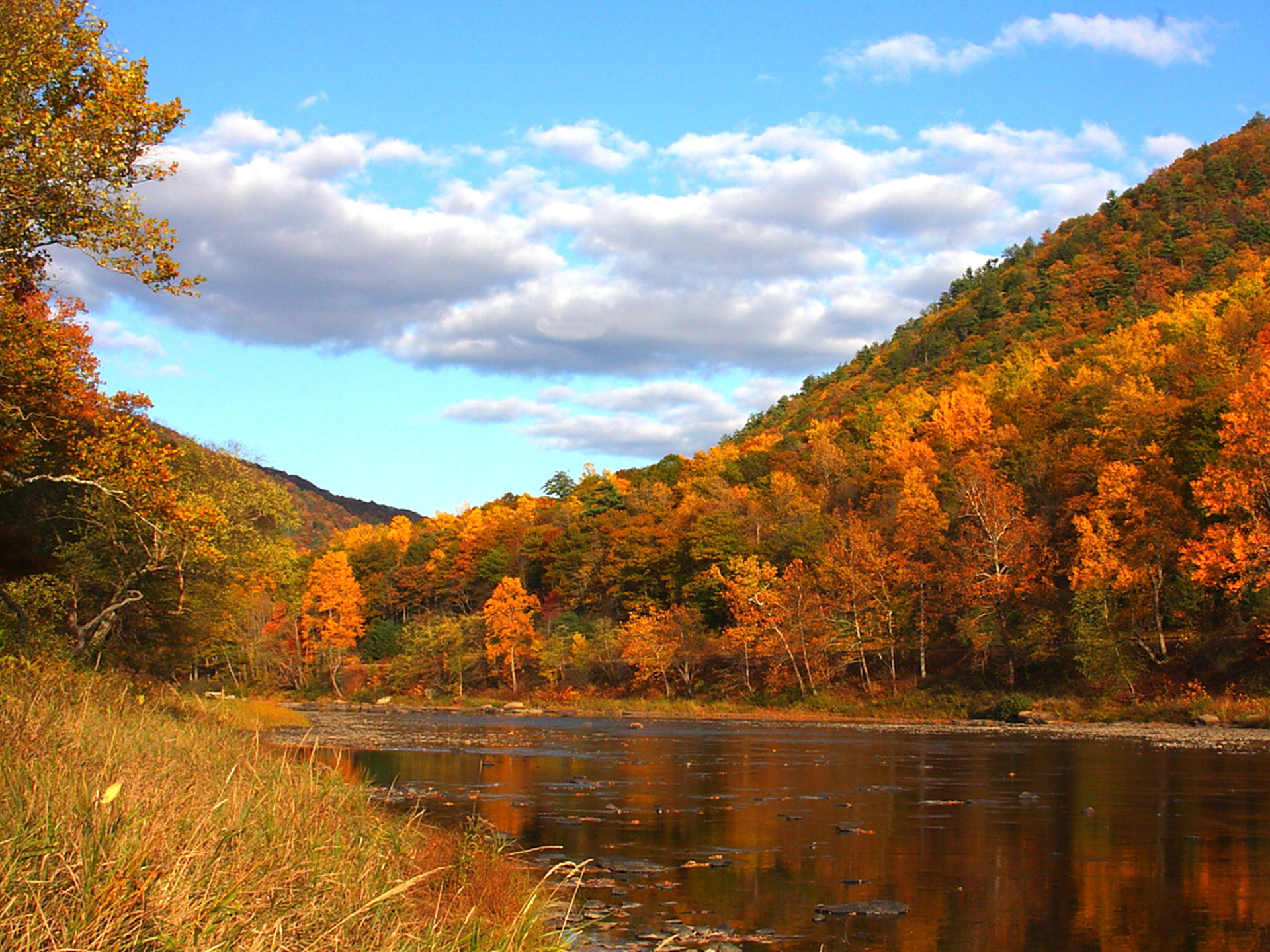 Fall in Elk Country