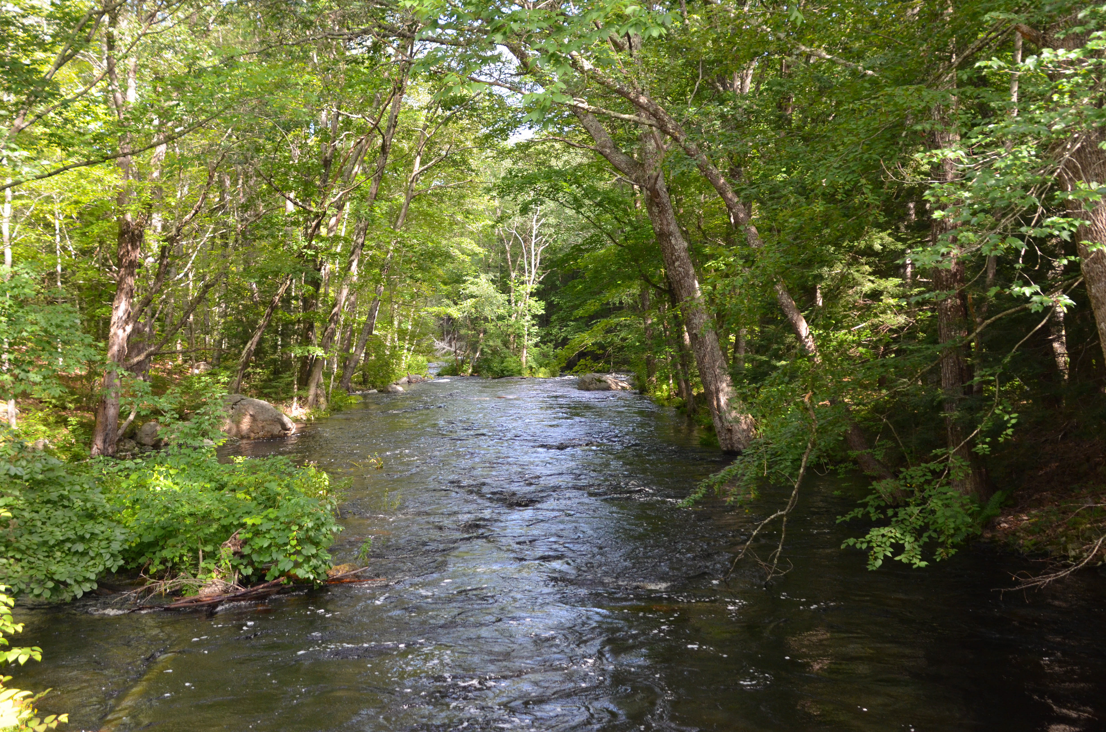 North River