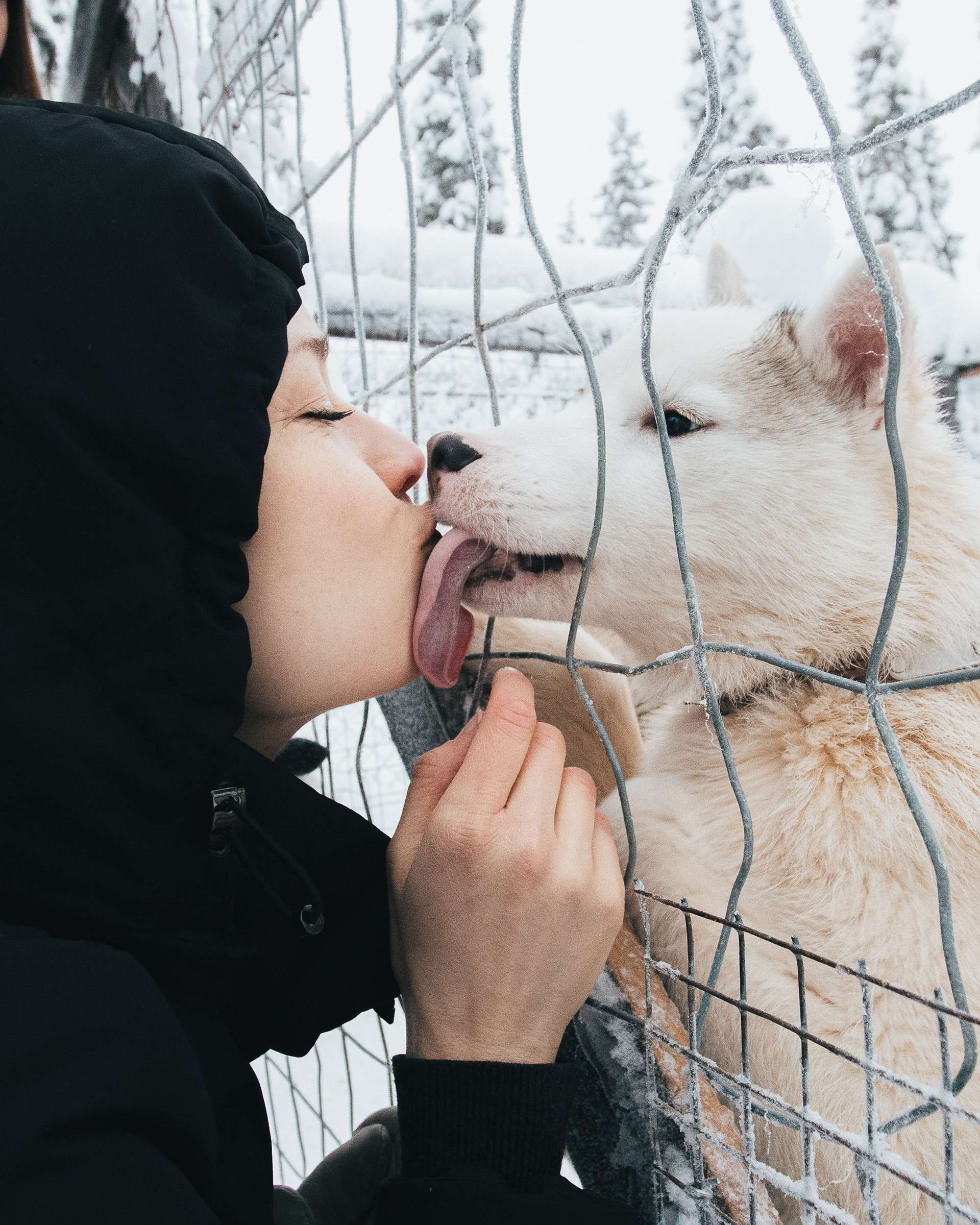 VISIT FINLAND, LAPLAND