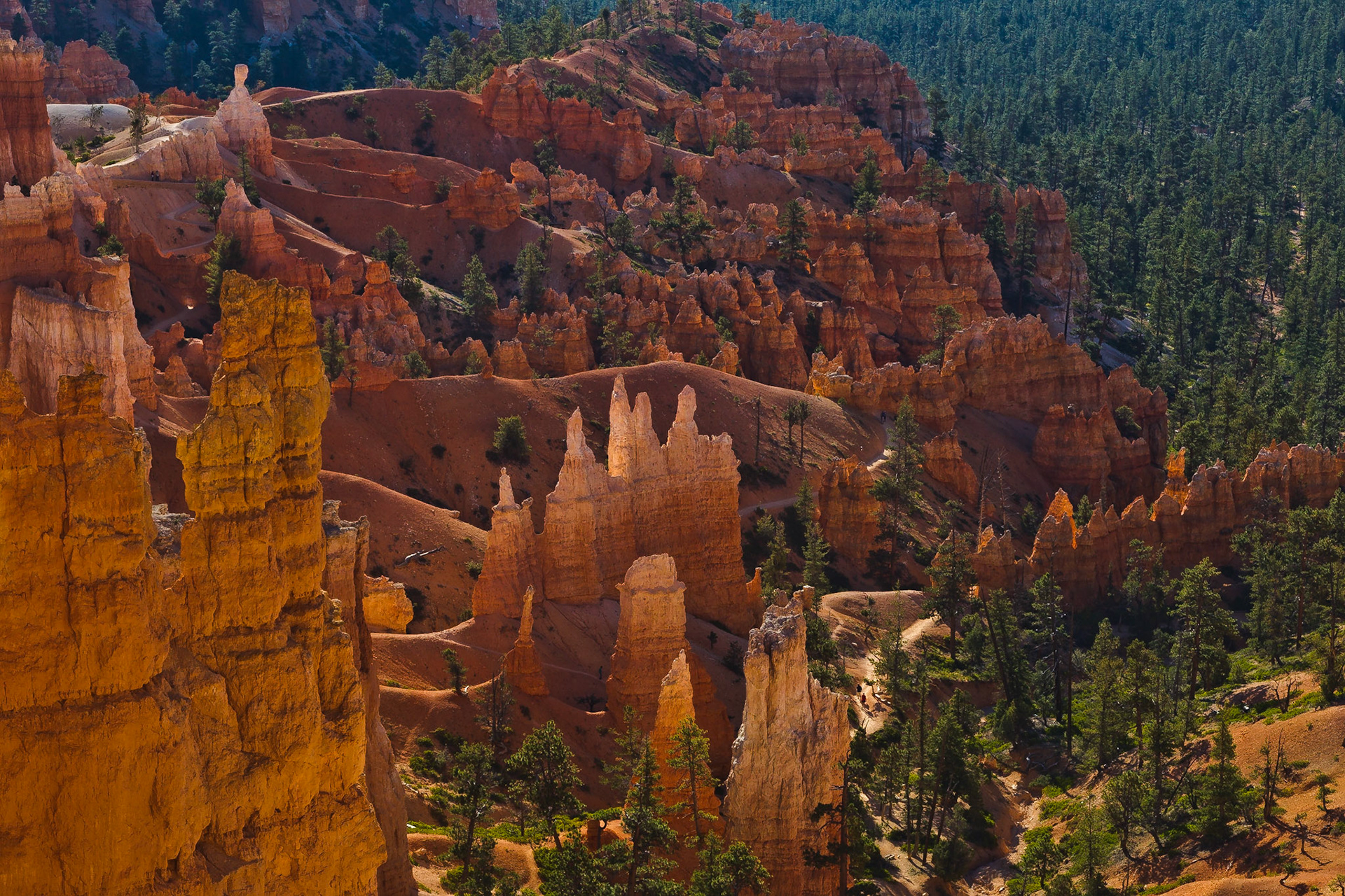 Bryce NP Utah
