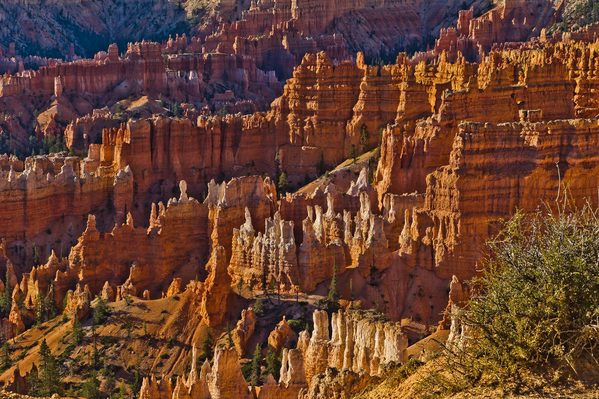Bryce NP Utah