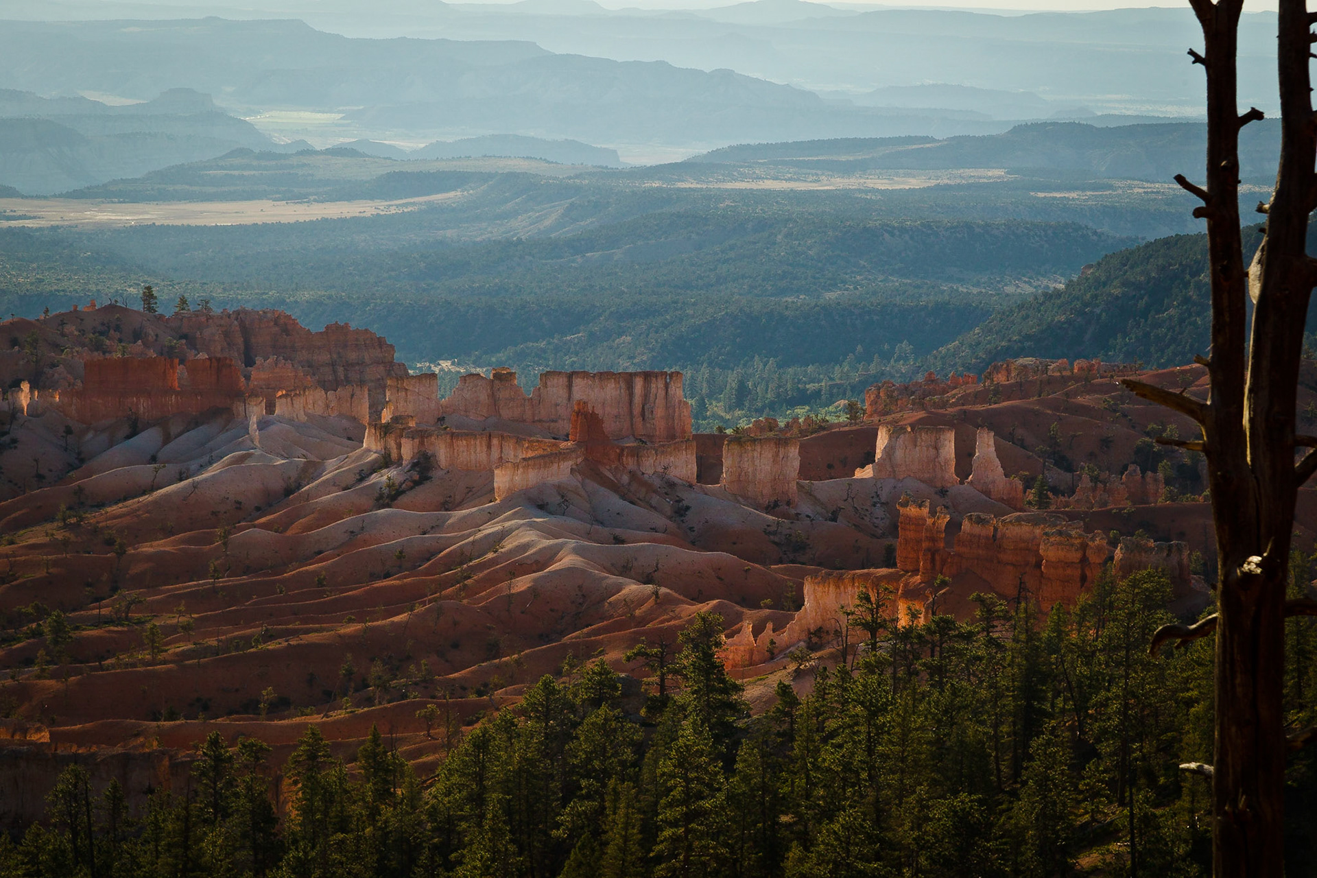 Bryce NP Utah