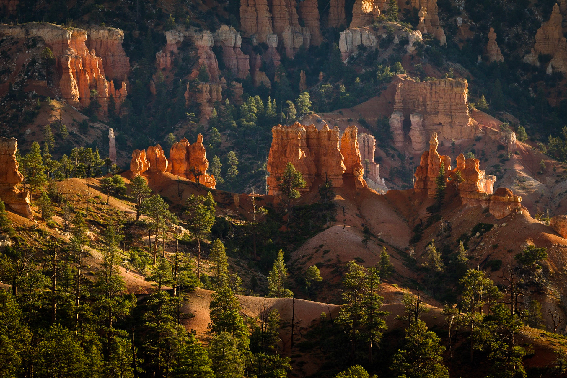 Bryce NP Utah