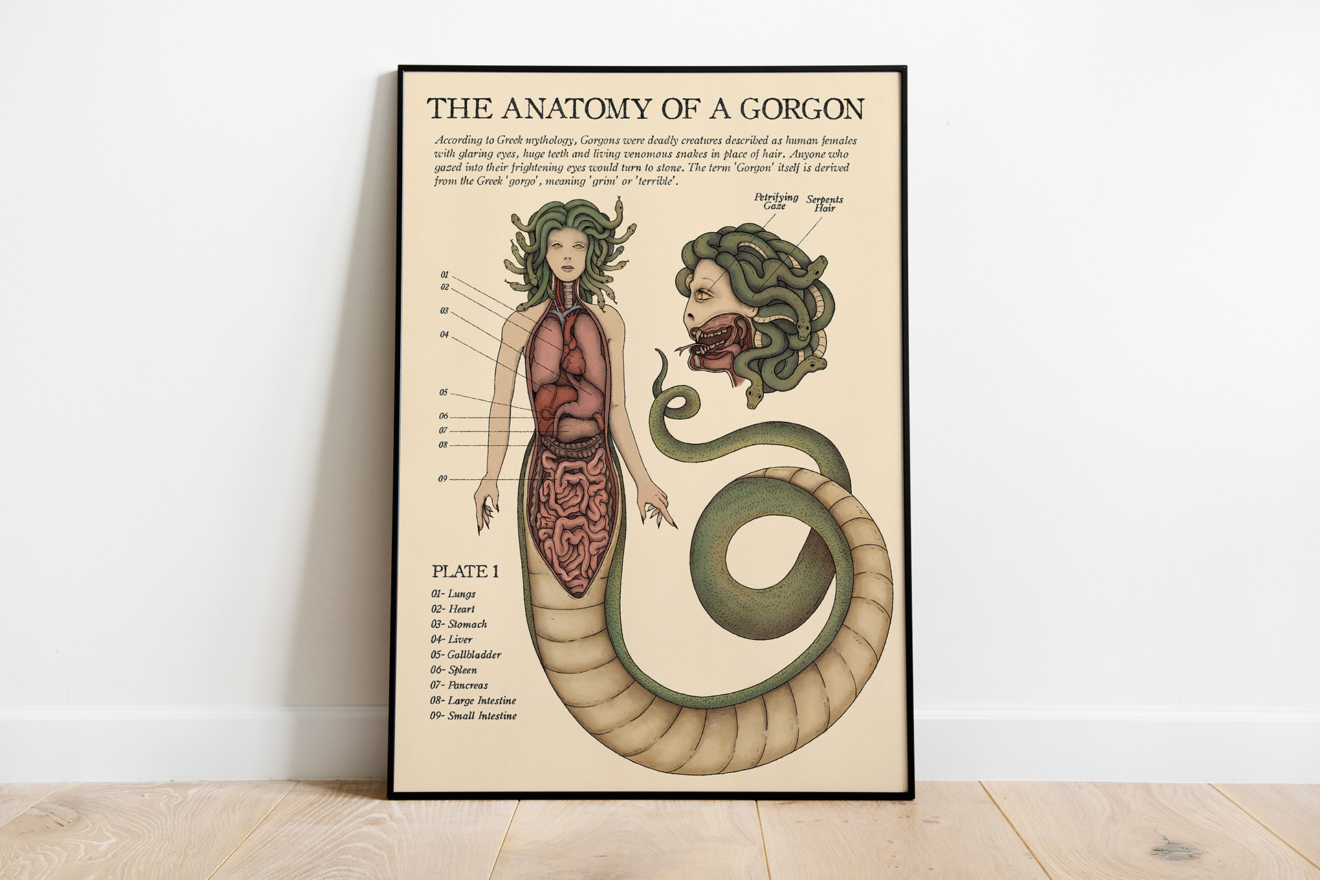 Thiago Corrêa - The Anatomy of a Gorgon