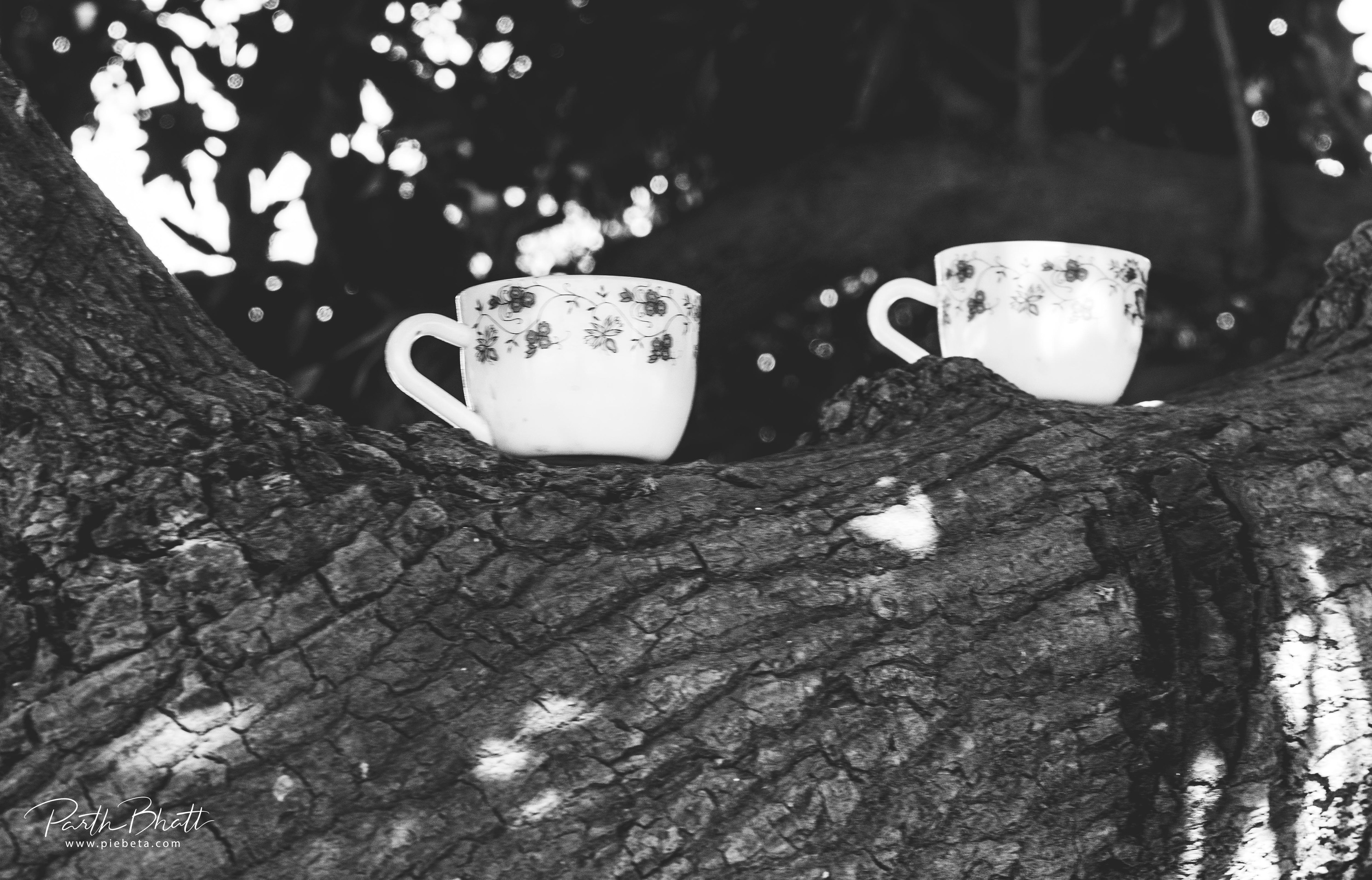 Tea Party - Day 5