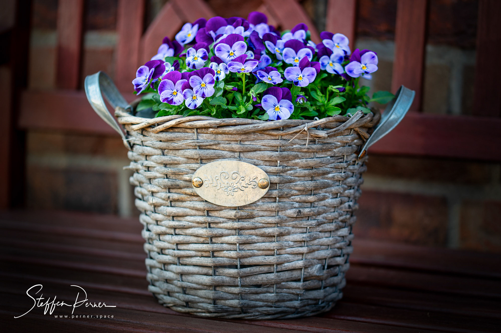 Basket with pansies