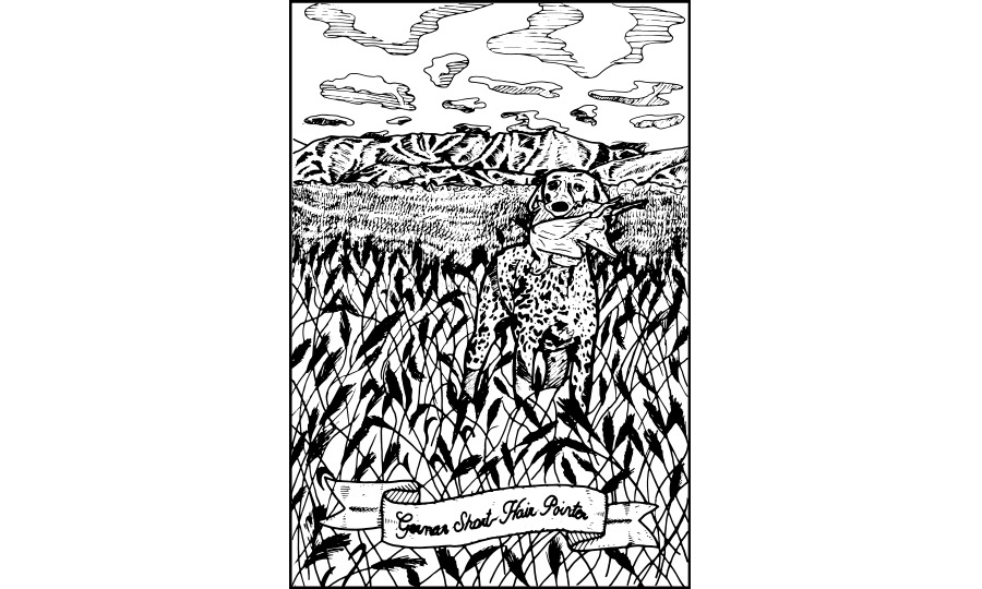 Fall - Ink