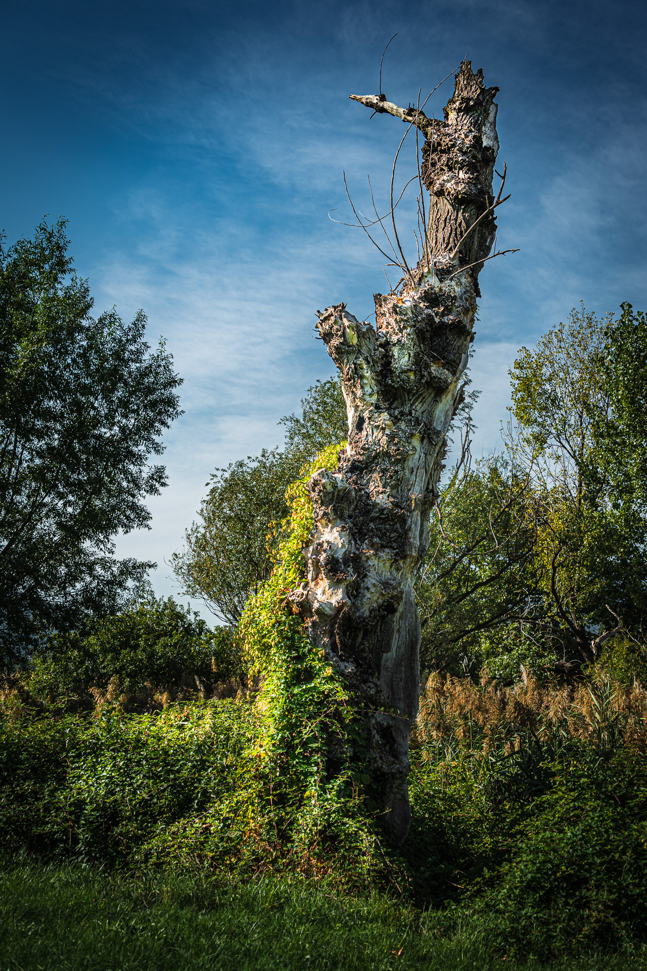 Photographers will find numerous landscape motifs here. The park is also a meeting place for ornithologists.