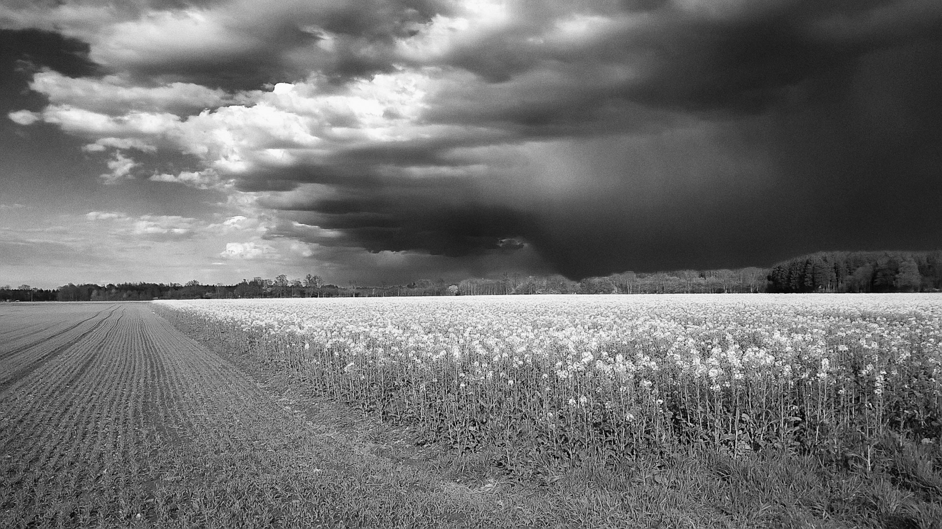 Storm sweeps over the country
