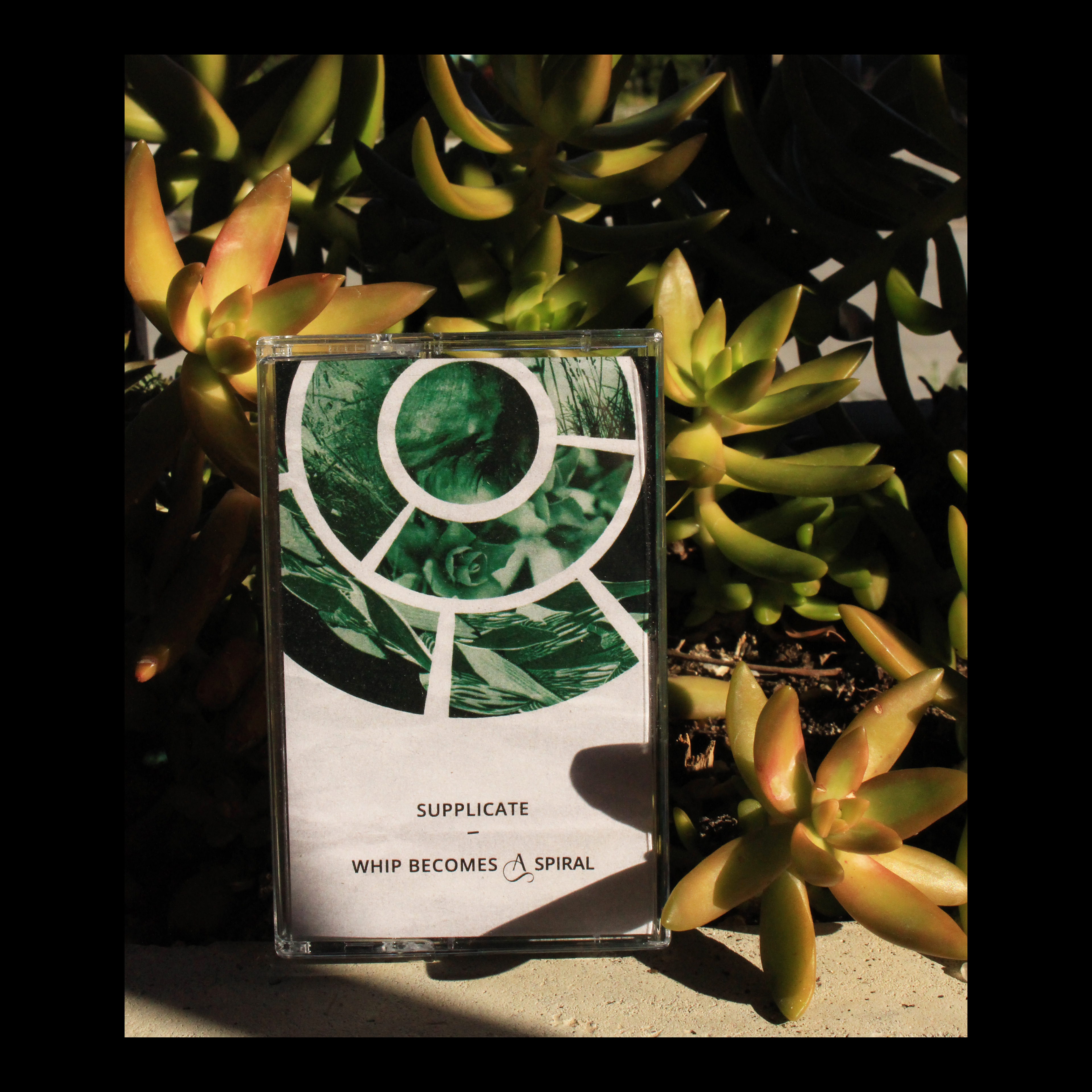 Supplicate - Whip Becomes a Spiral - Somatic Records 2020 / M. Guion