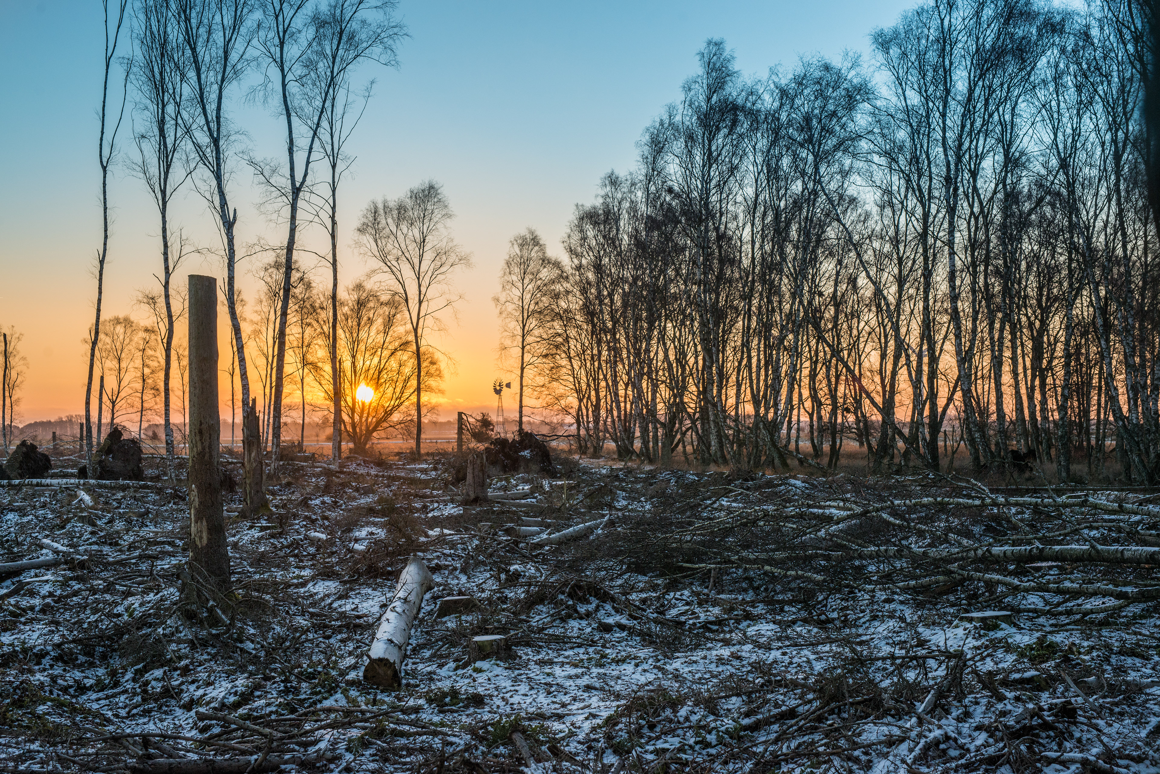 Winter Sunrise