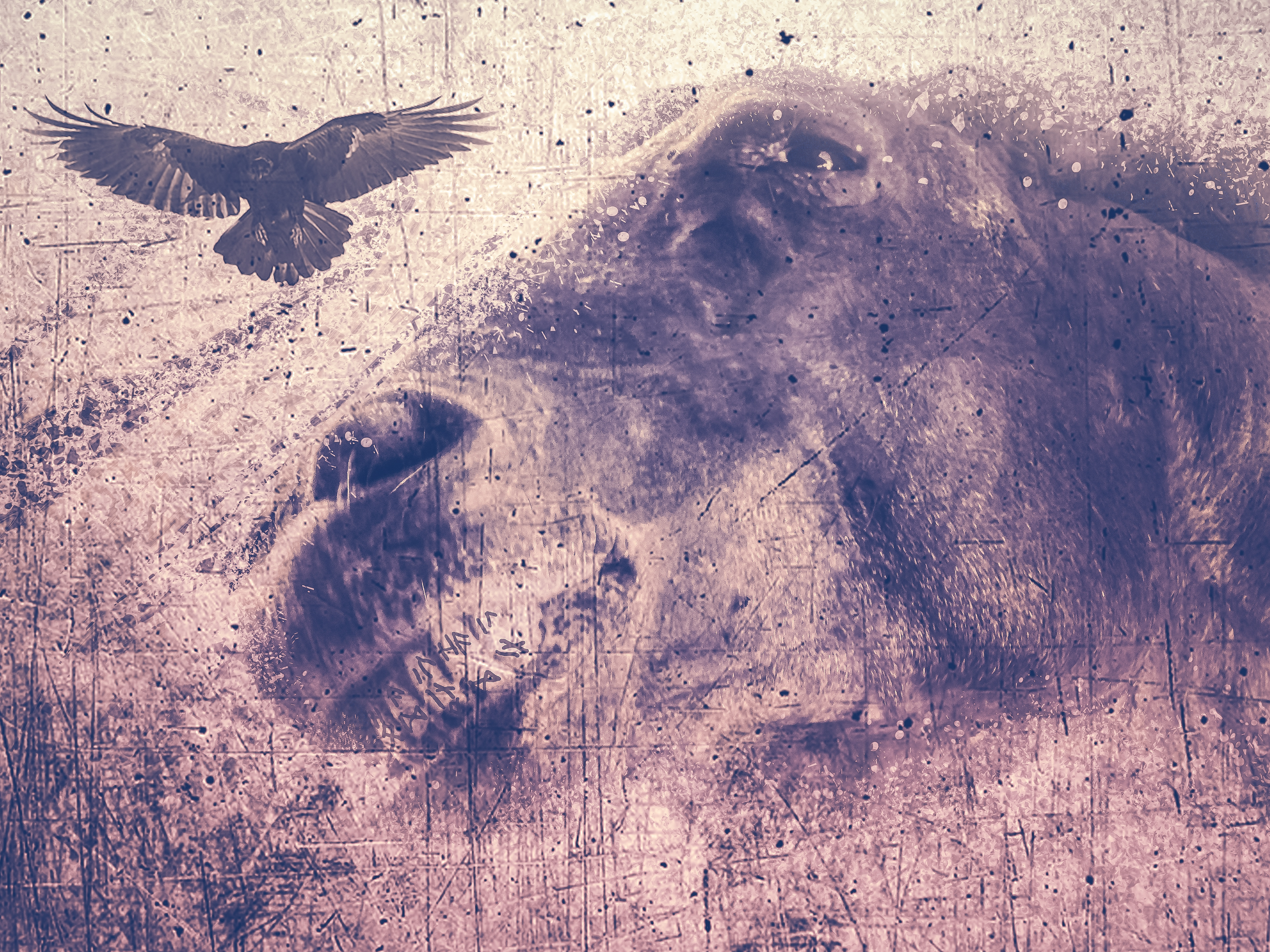 Sleipnir