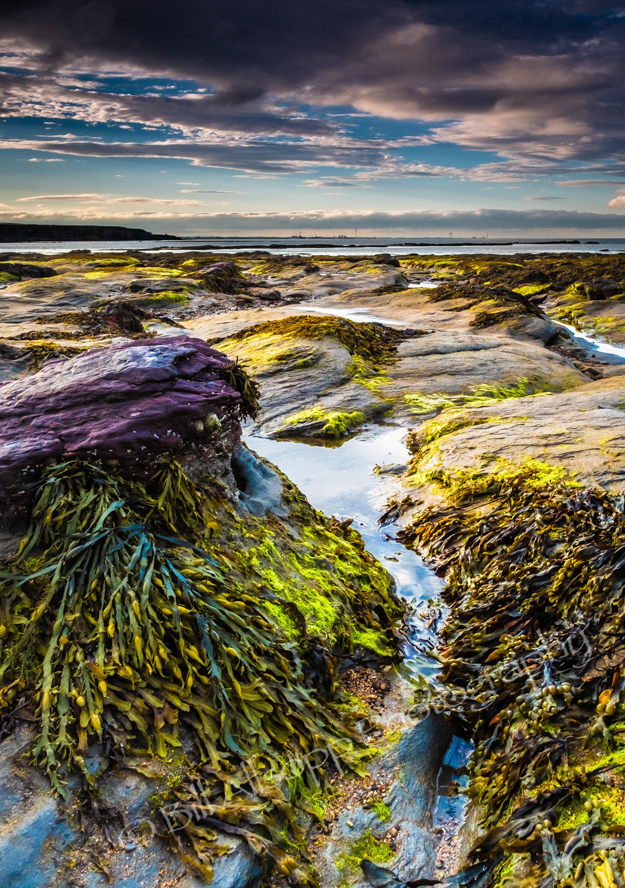 Shapes formed in the rocks at St. Marys island neart Whitley Bay.