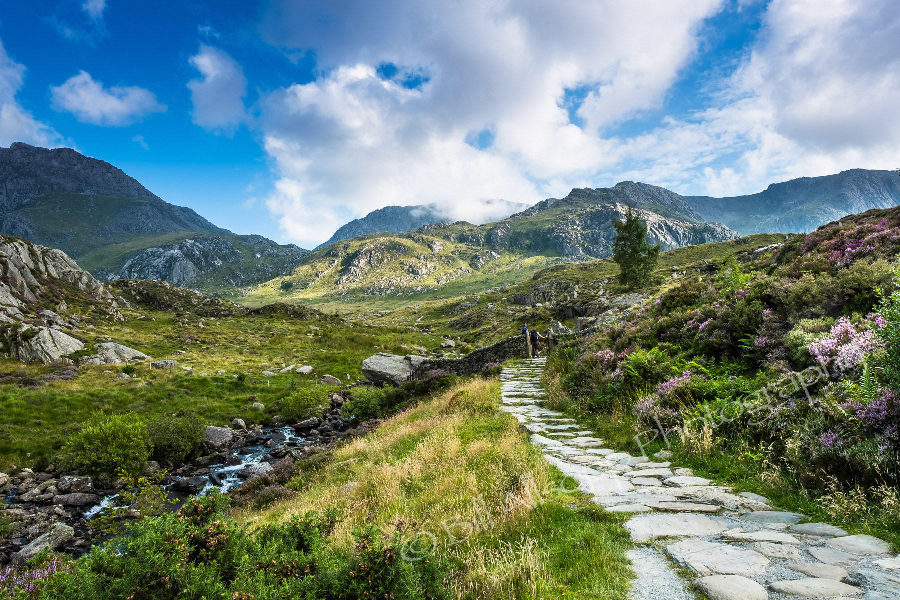Path leading towards the Glyderau range of mountains.