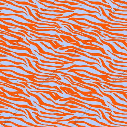 Zebra Orange