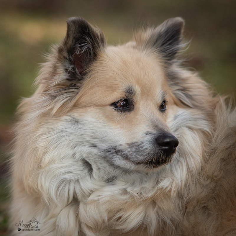 Nella