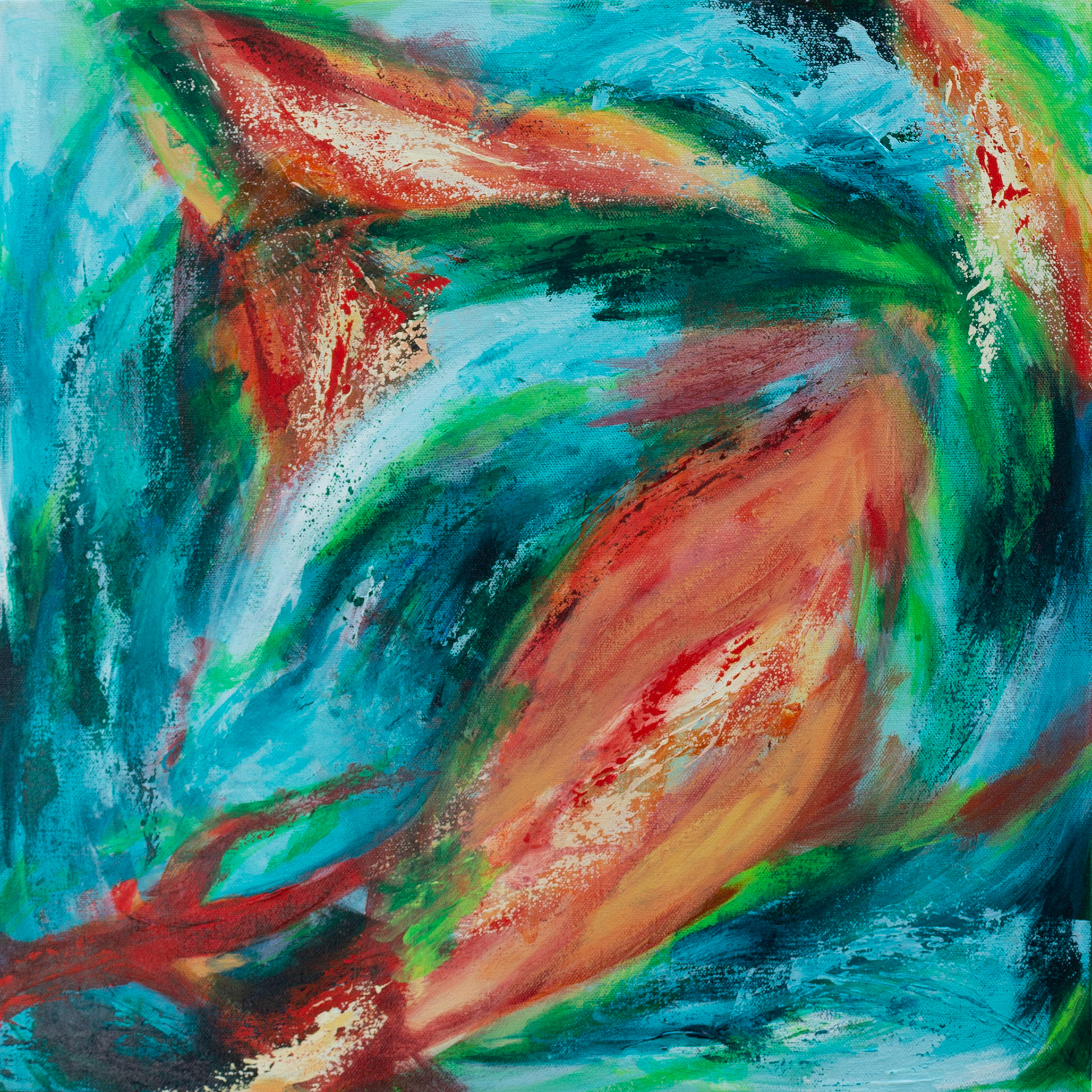 Heliconia IV