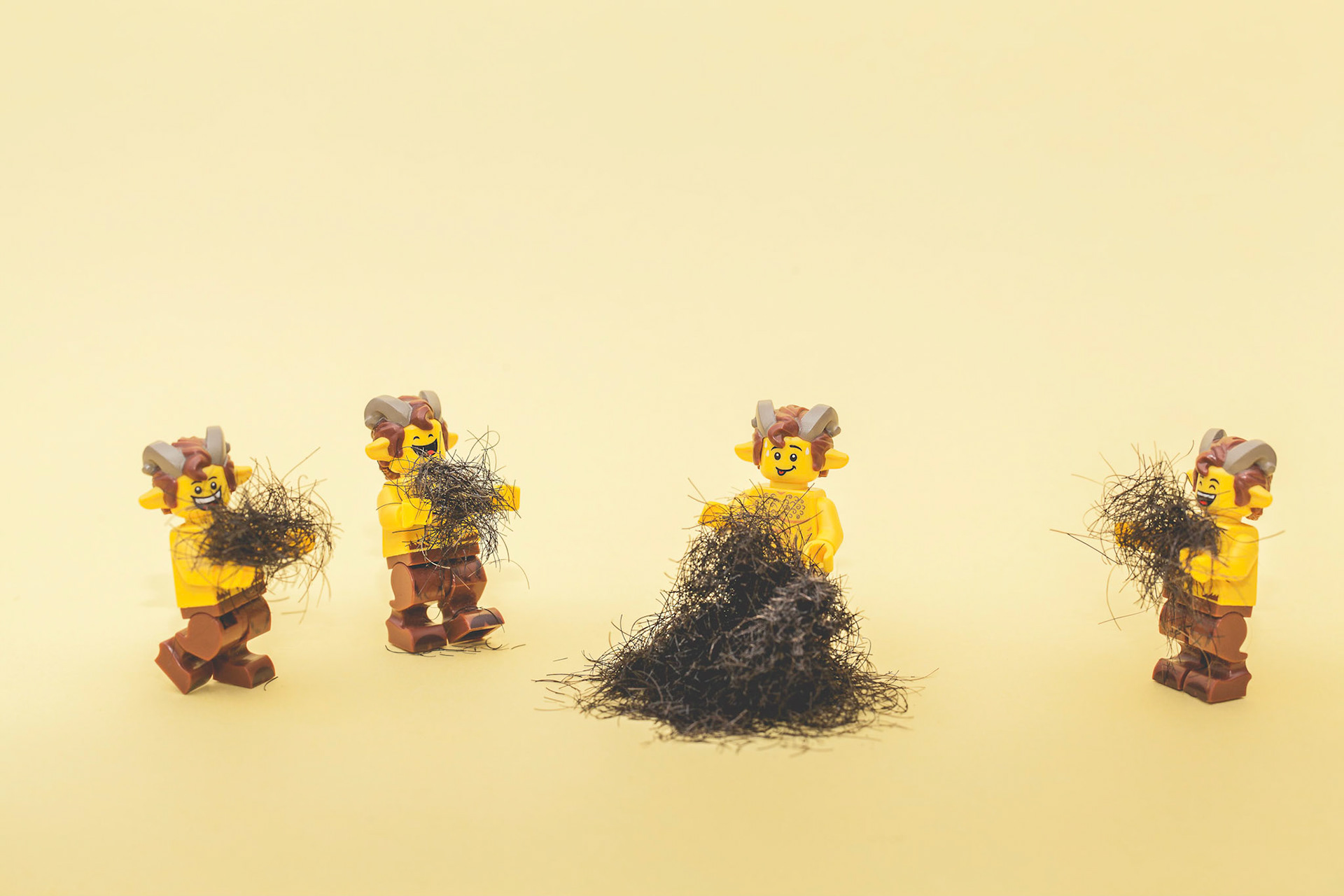 Pile Poil (v2)