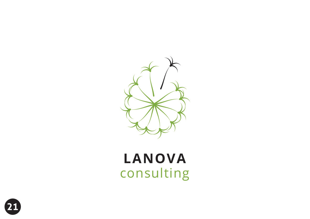 La Nova consulting