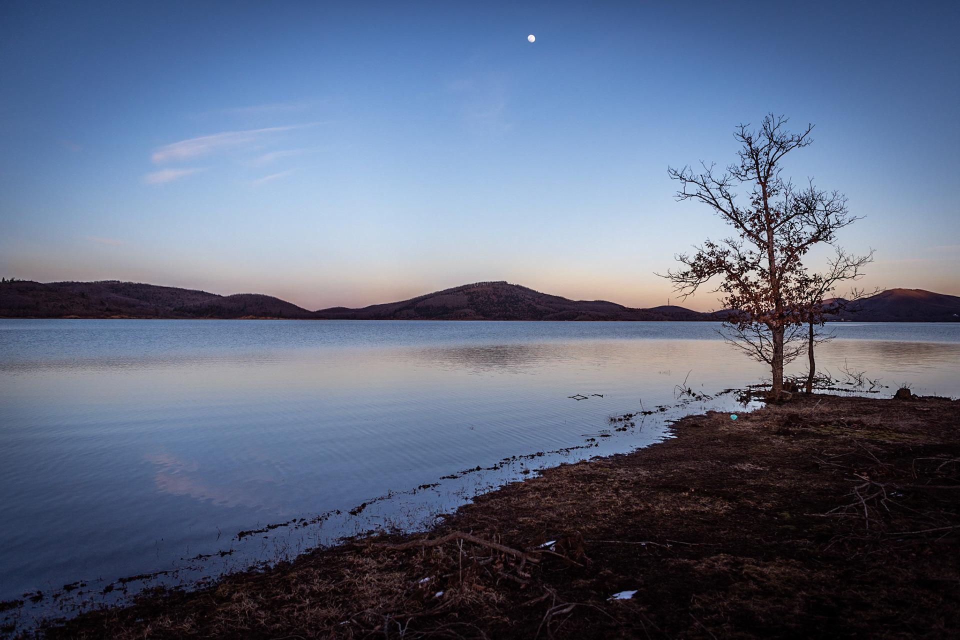 Moonrise under the tree on Plastira Lake Karditsa Greece