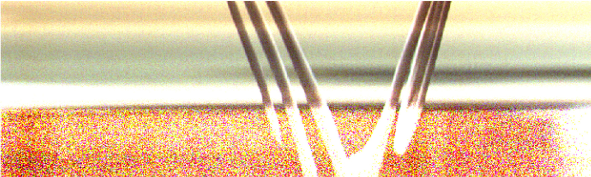 Scanography - hand in and out