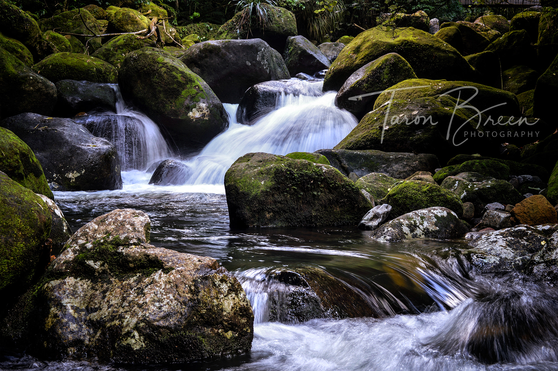 #8 | Wairere Falls | Okauia | New Zealand