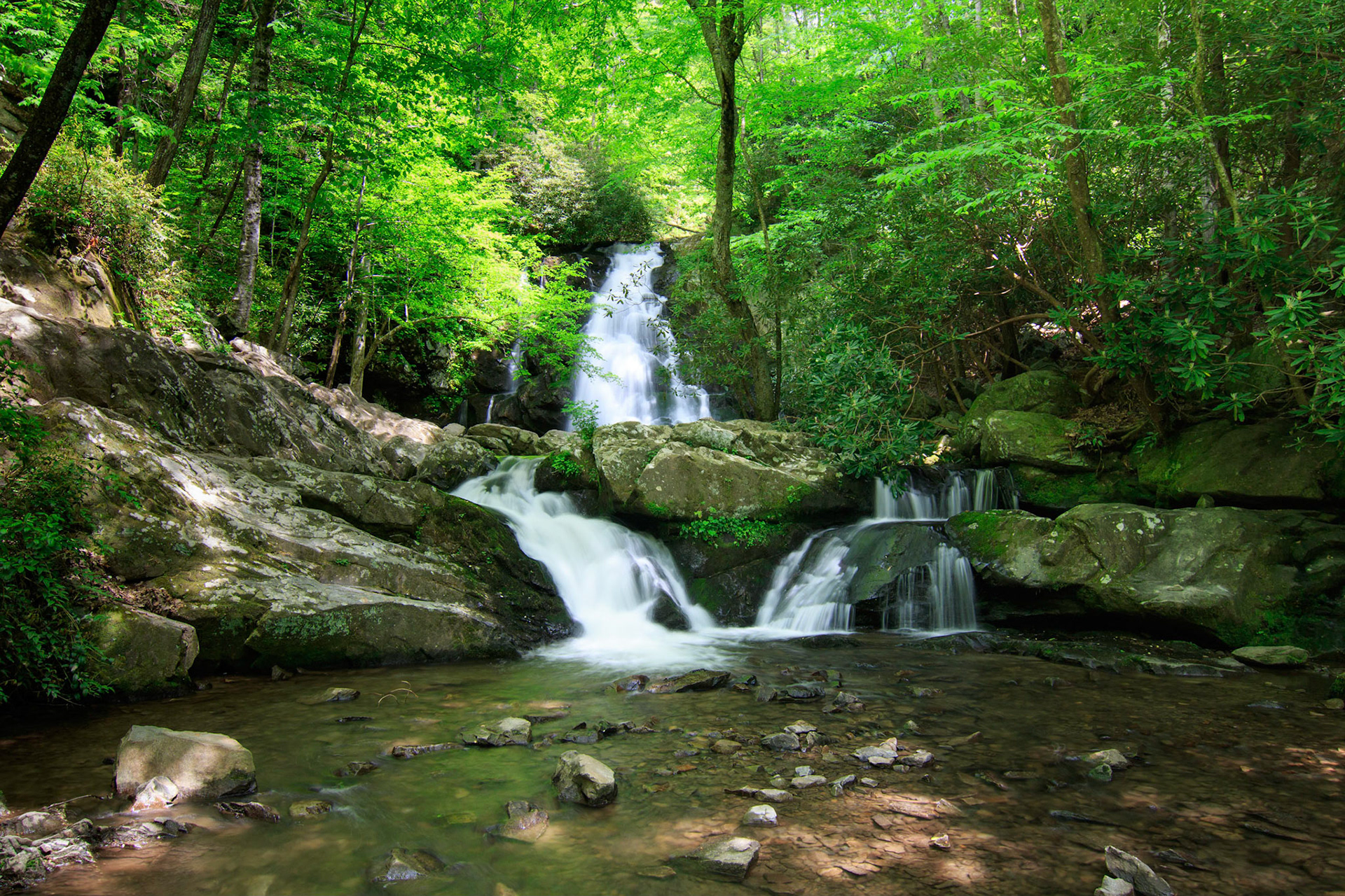 Great Smokey Mountains, Tremont