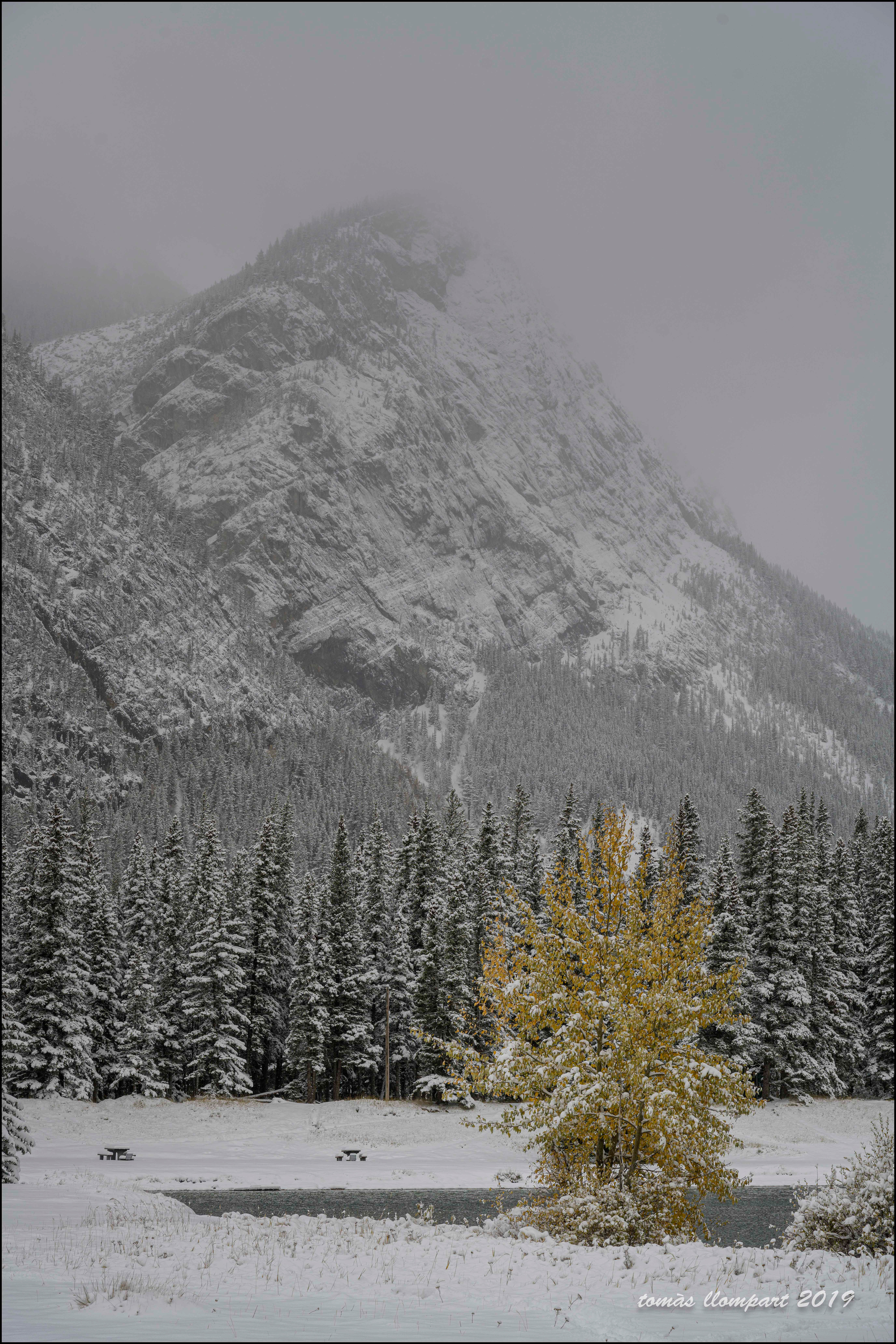 Cascade Ponds  (Banff, Canada)